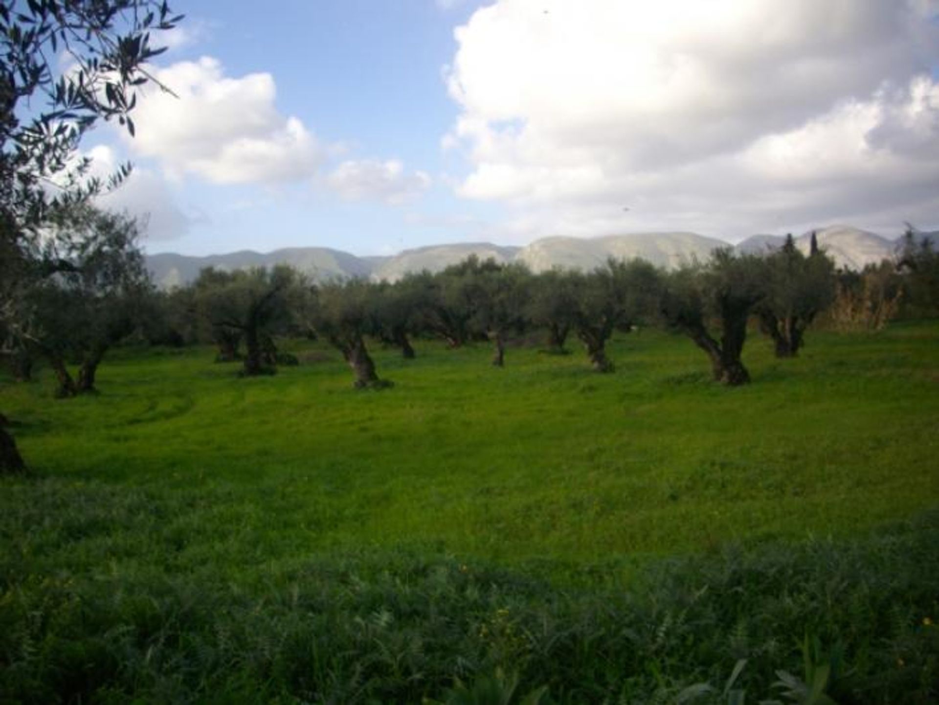 Jord i Zakynthos, Zakinthos 10086758