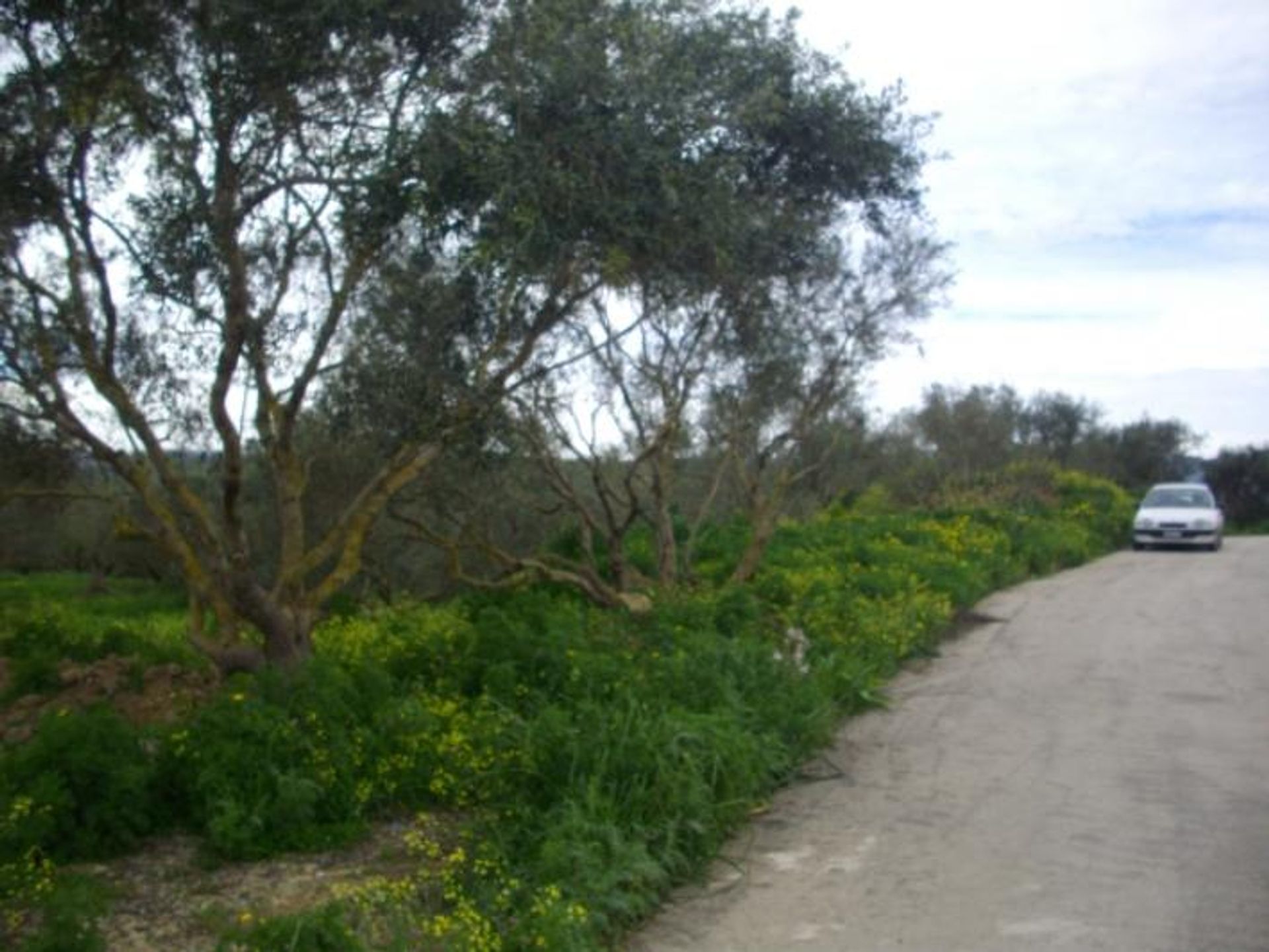 Land in Kalipado, Ionië Nisia 10086759