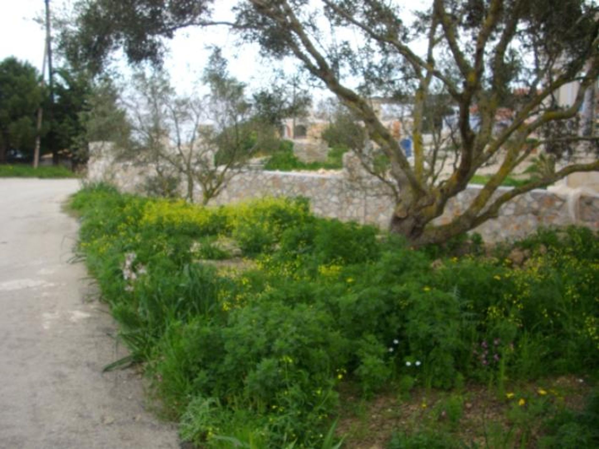 土地 在 Kipseli, Zakinthos 10086759