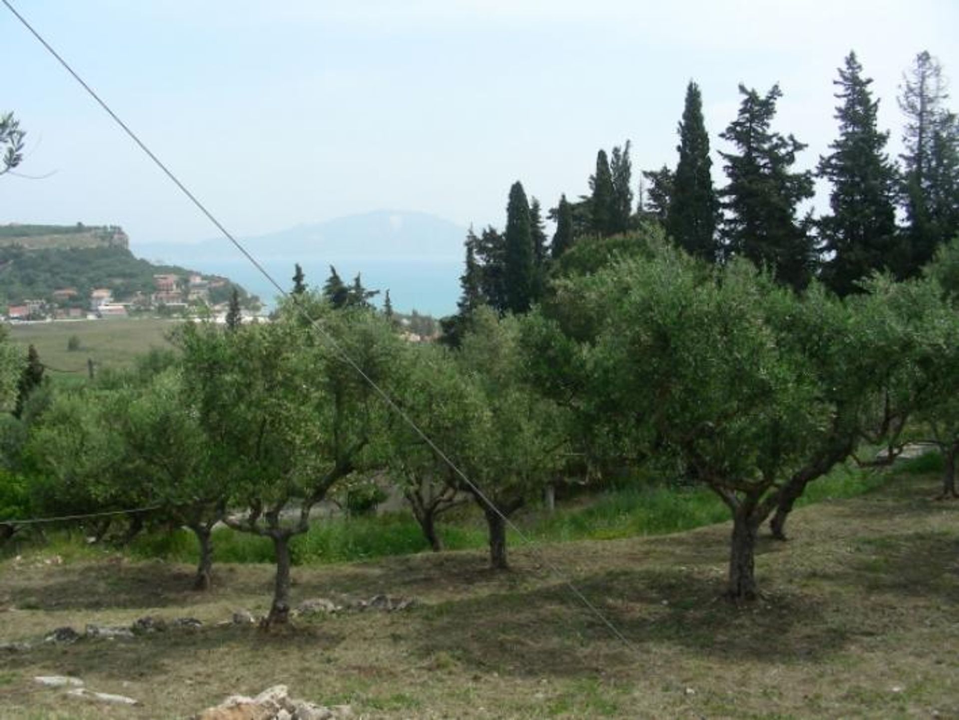 ארץ ב גלארו, יוניה ניסיה 10086760