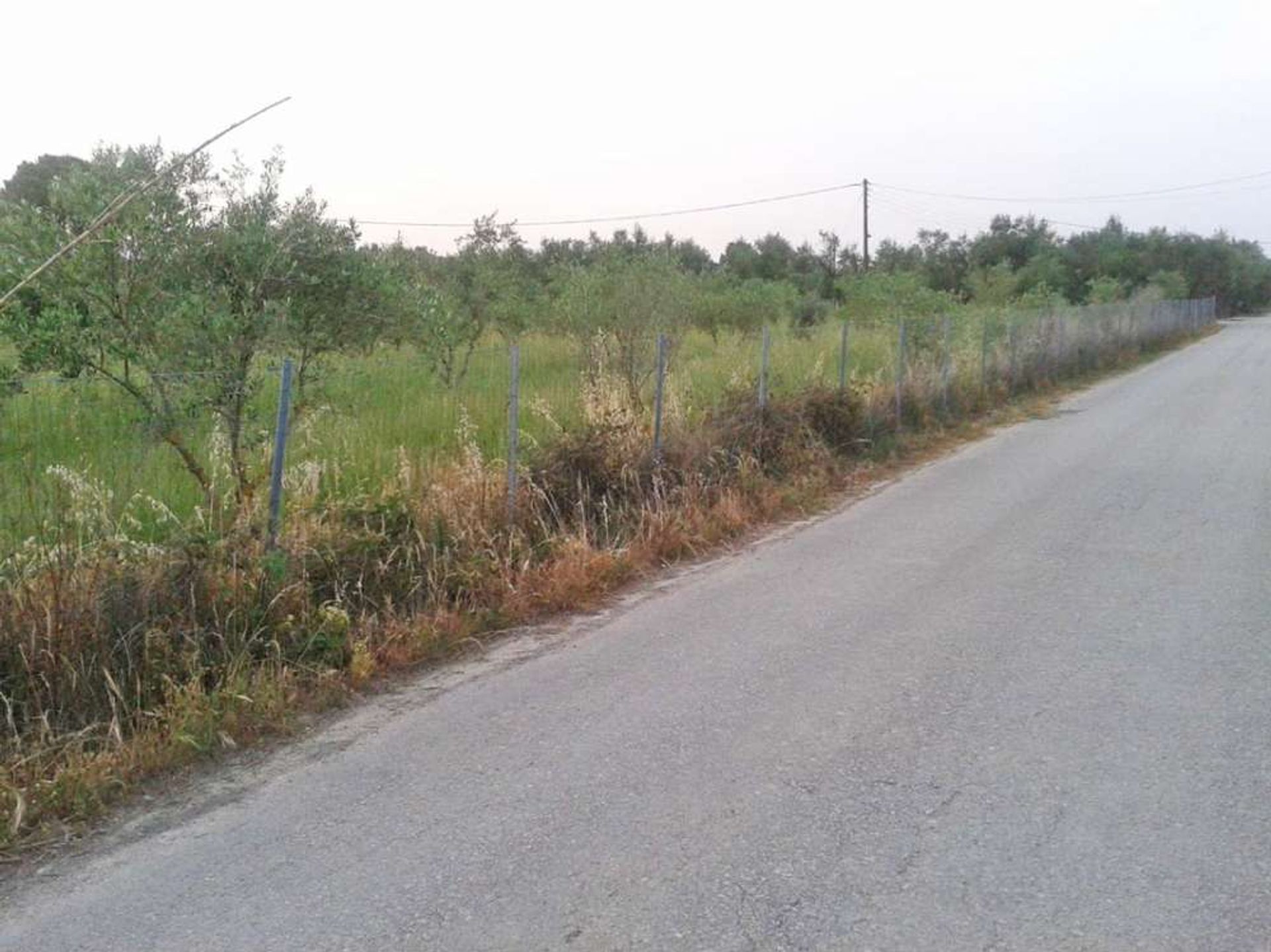 Land in Pantokratoras, Ionia Nisia 10086772