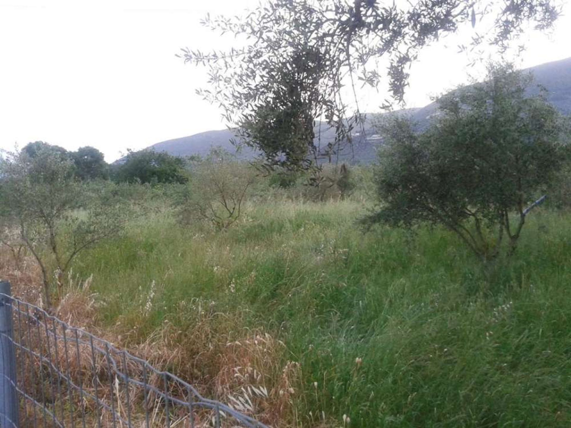 Land in Pantokratoras, Ionia Nisia 10086772