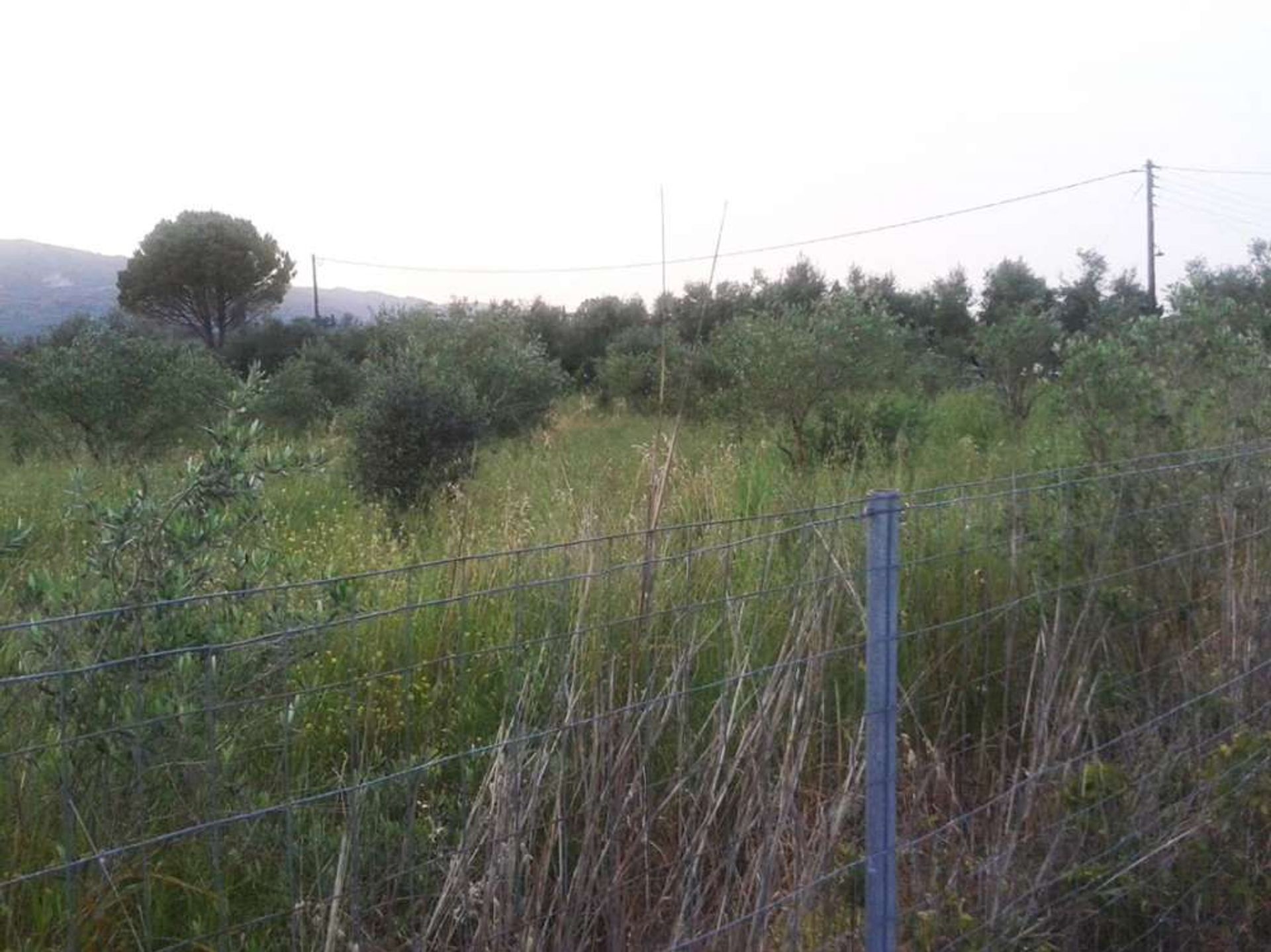 Land in Pantokratoras, Ionia Nisia 10086772