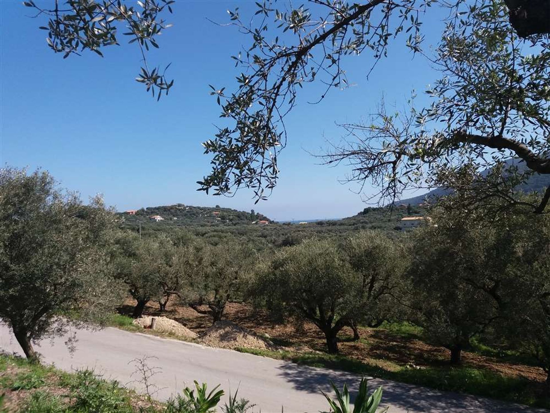 Tierra en Zakynthos, Zakinthos 10086776