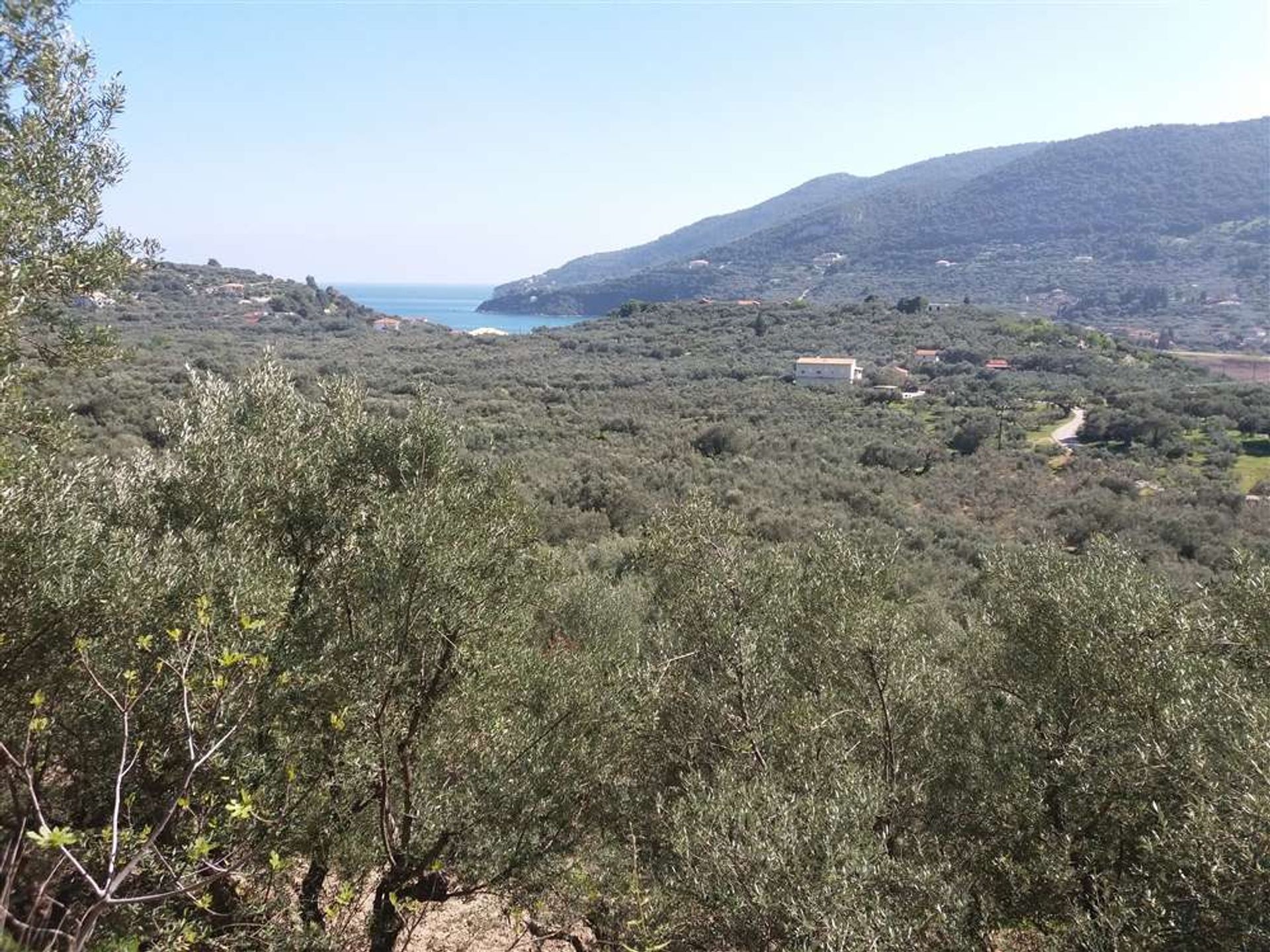 Γη σε Zakynthos, Zakinthos 10086776