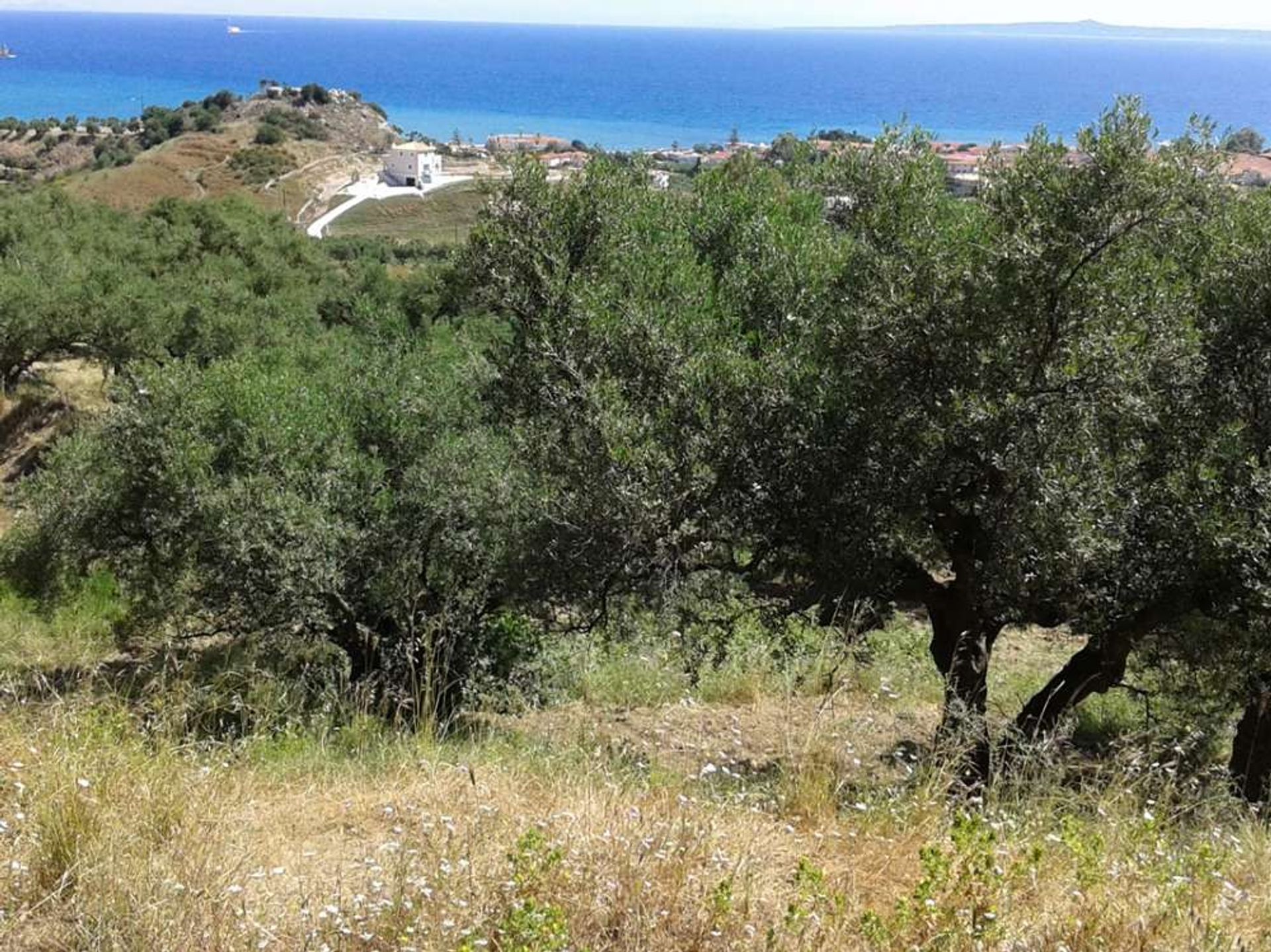 Tanah di Zakynthos, Zakinthos 10086777