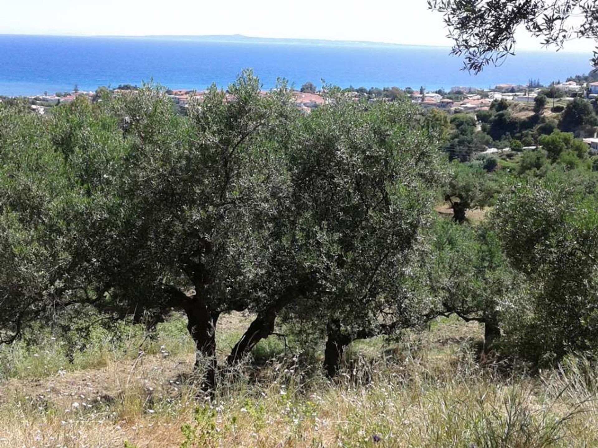 Tanah di Zakynthos, Zakinthos 10086777