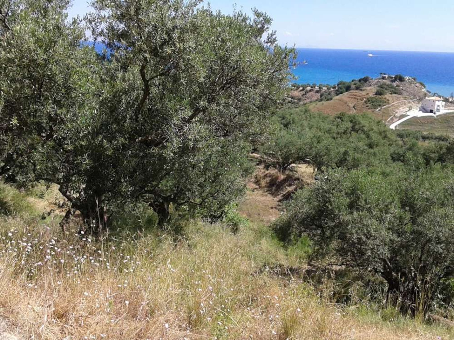 Tanah di Zakynthos, Zakinthos 10086777