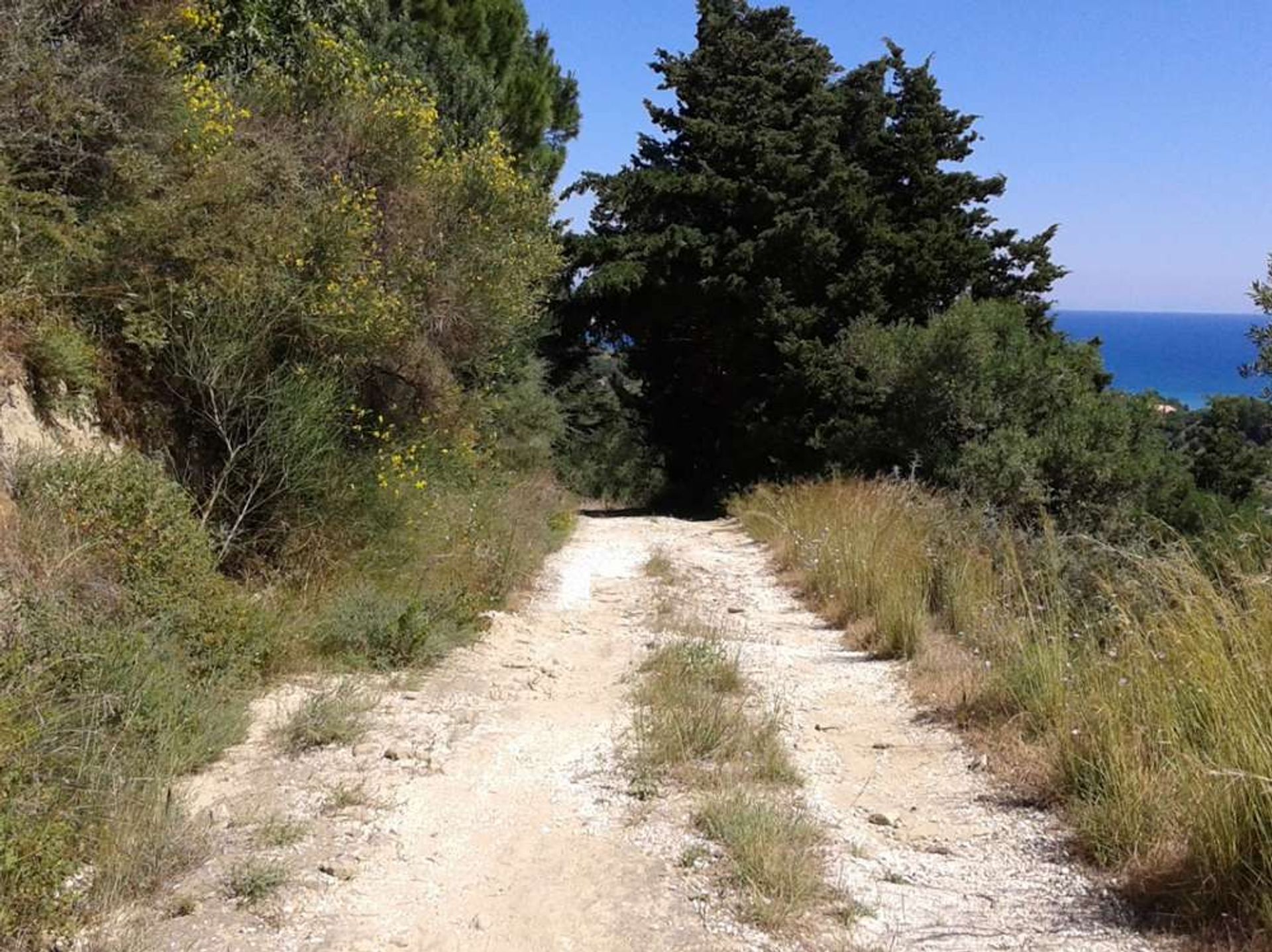 Tanah di Zakynthos, Zakinthos 10086777