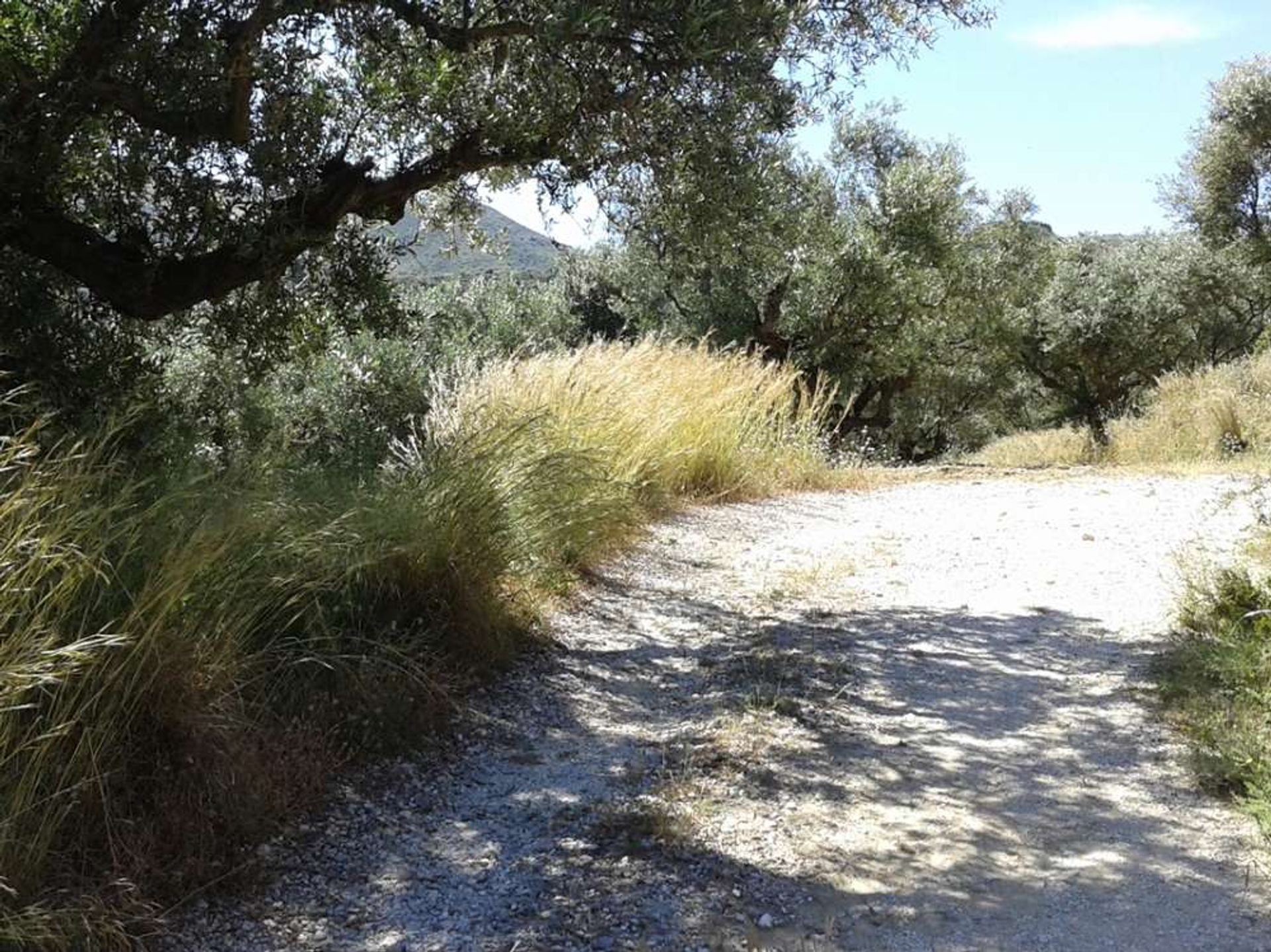 Tanah di Zakynthos, Zakinthos 10086777