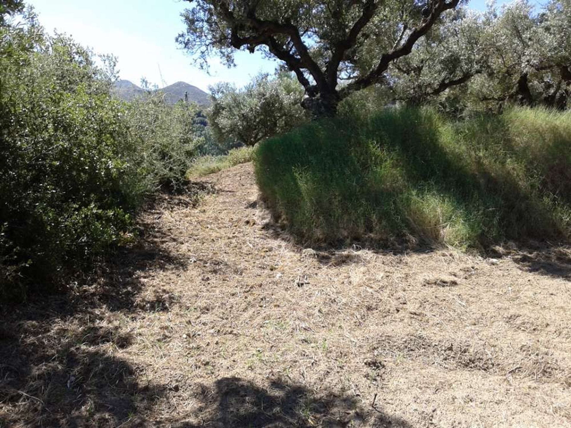 Tanah di Zakynthos, Zakinthos 10086777