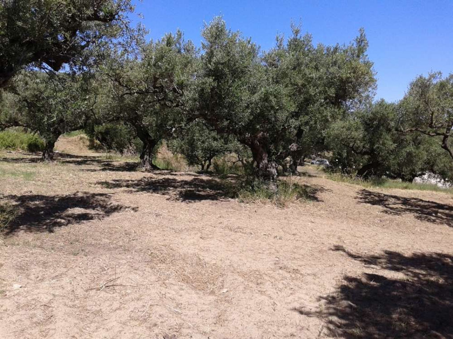 Tanah di Zakynthos, Zakinthos 10086777