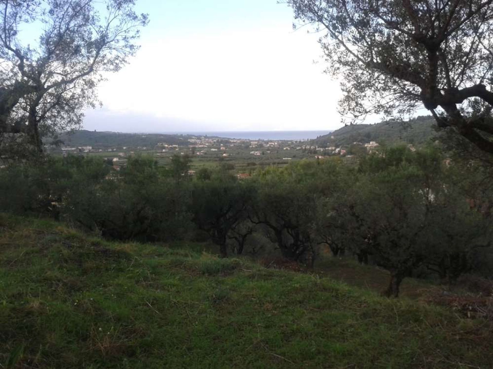 Земля в Zakynthos, Zakinthos 10086778