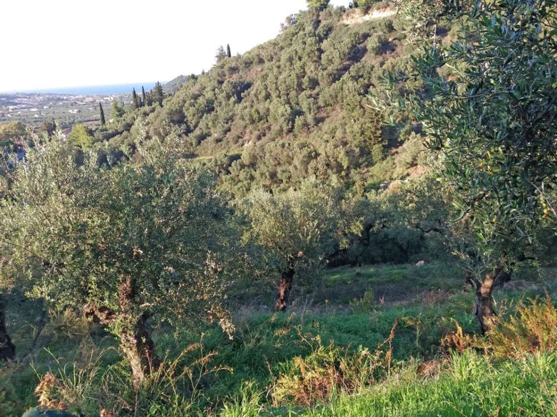 Земельные участки в Zakynthos, Zakinthos 10086778