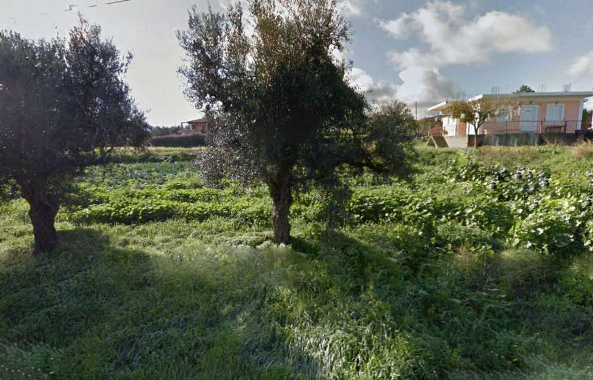 Land in Zakynthos, Zakinthos 10086781