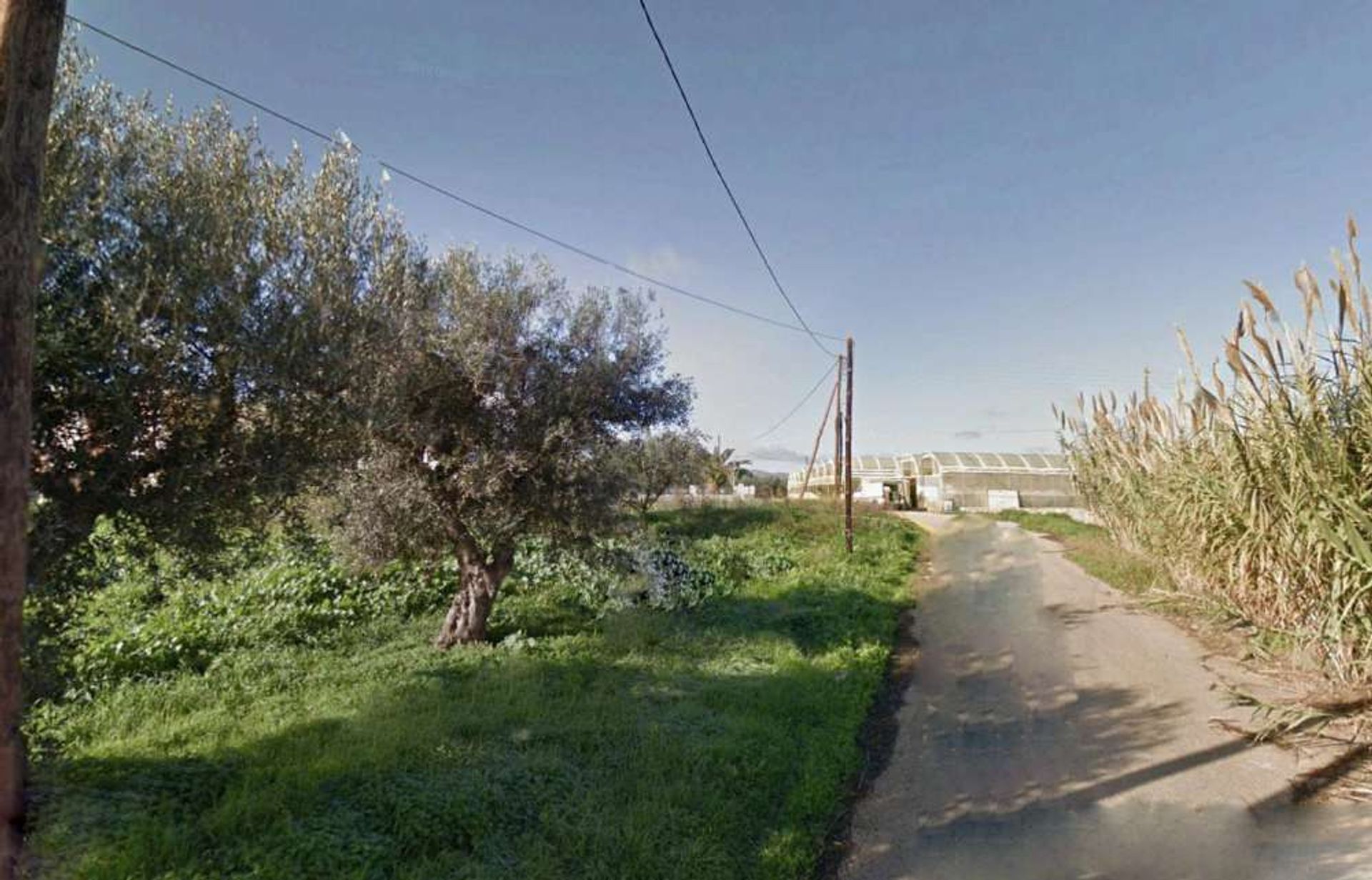 Tanah di Zakynthos, Zakinthos 10086781