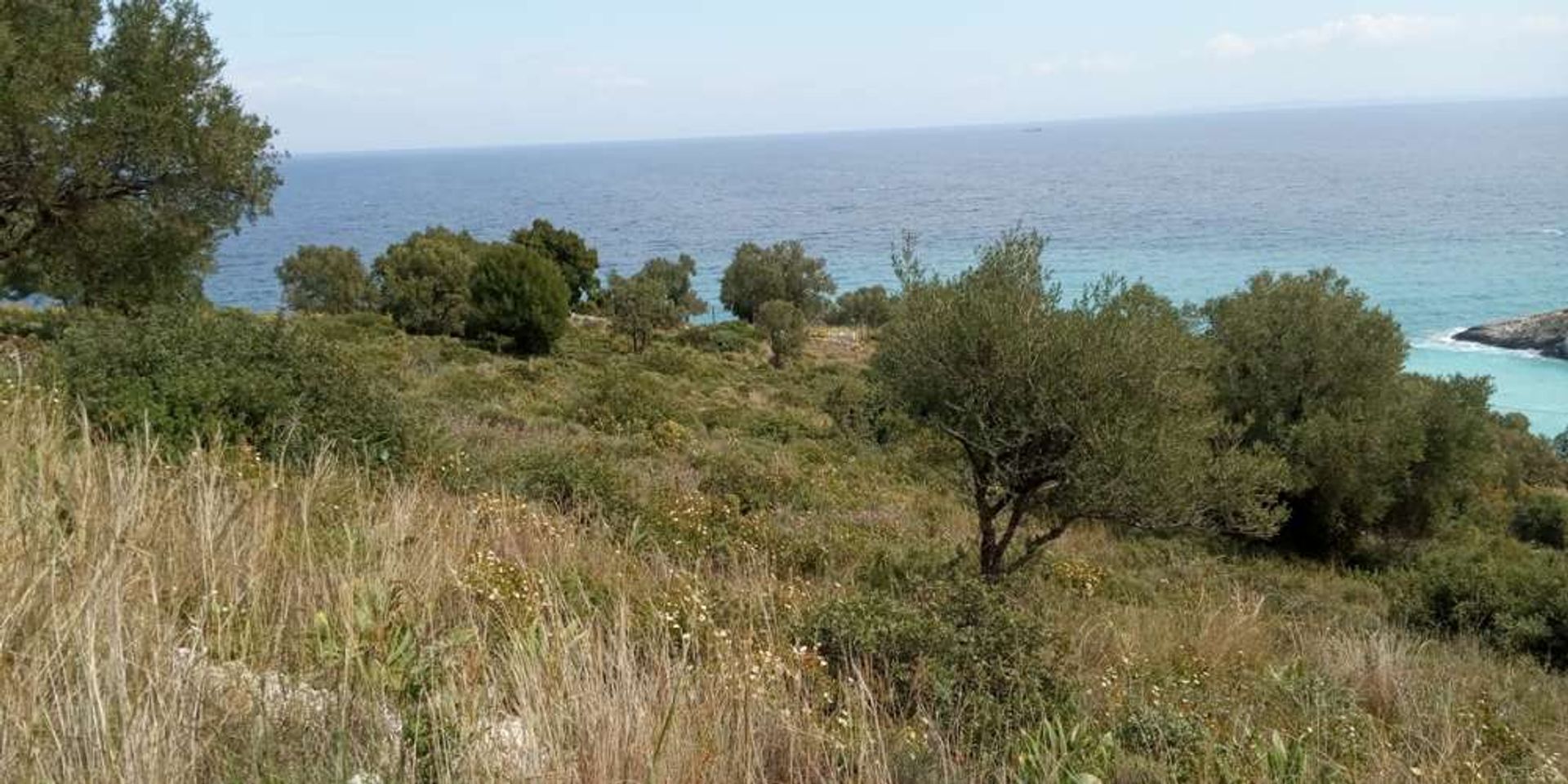 Tanah dalam Zakynthos, Zakinthos 10086784