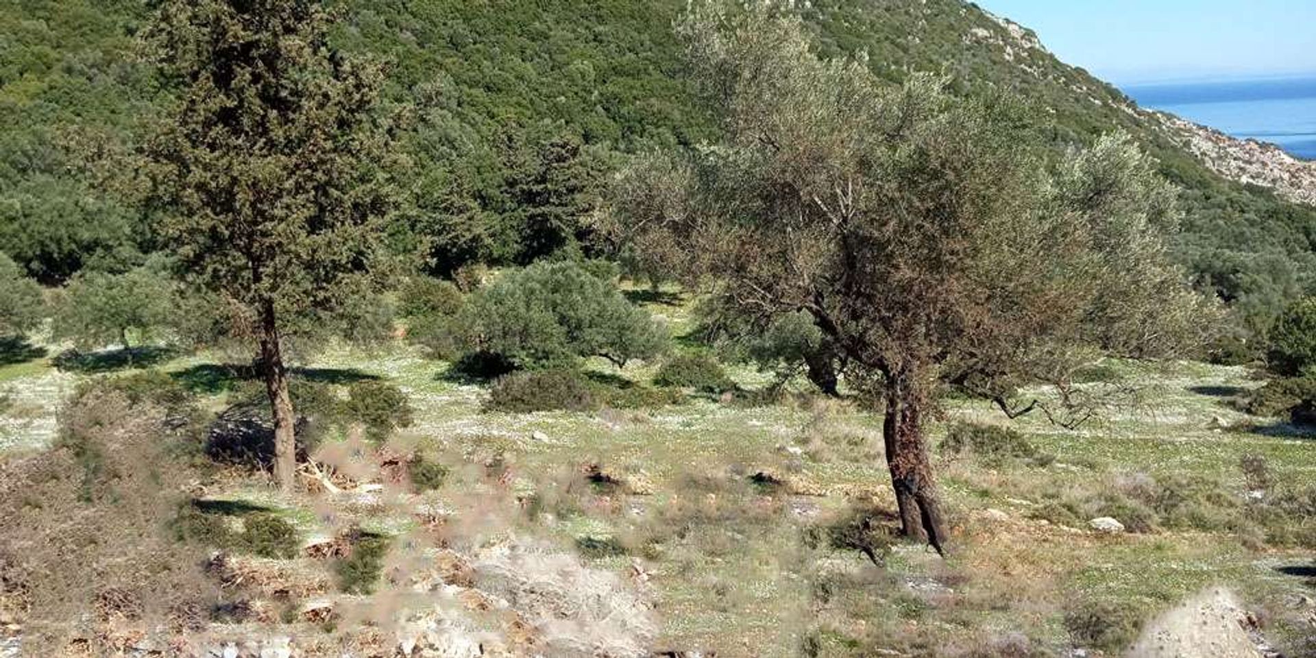 Terre dans Zakynthos, Zakinthos 10086787