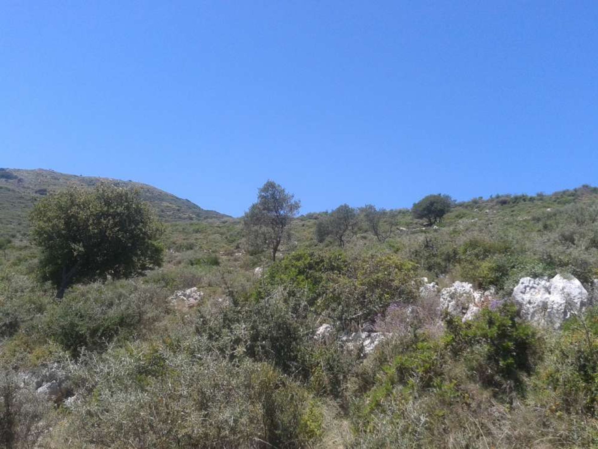 Land in Zakynthos, Zakinthos 10086787