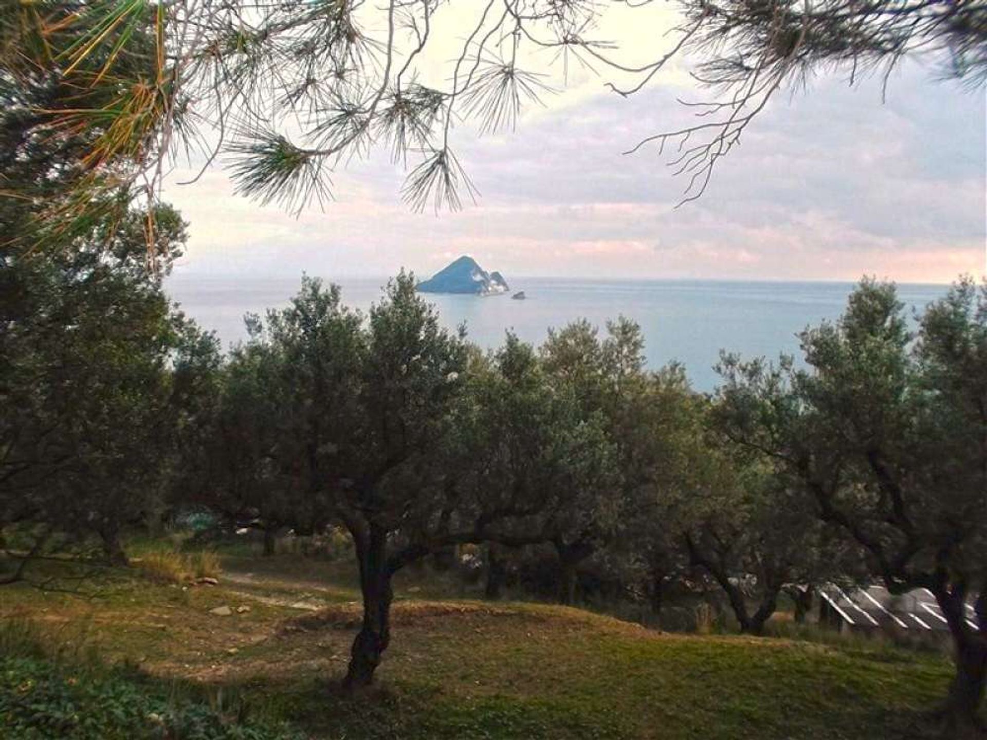 ארץ ב Zakynthos, Zakinthos 10086788