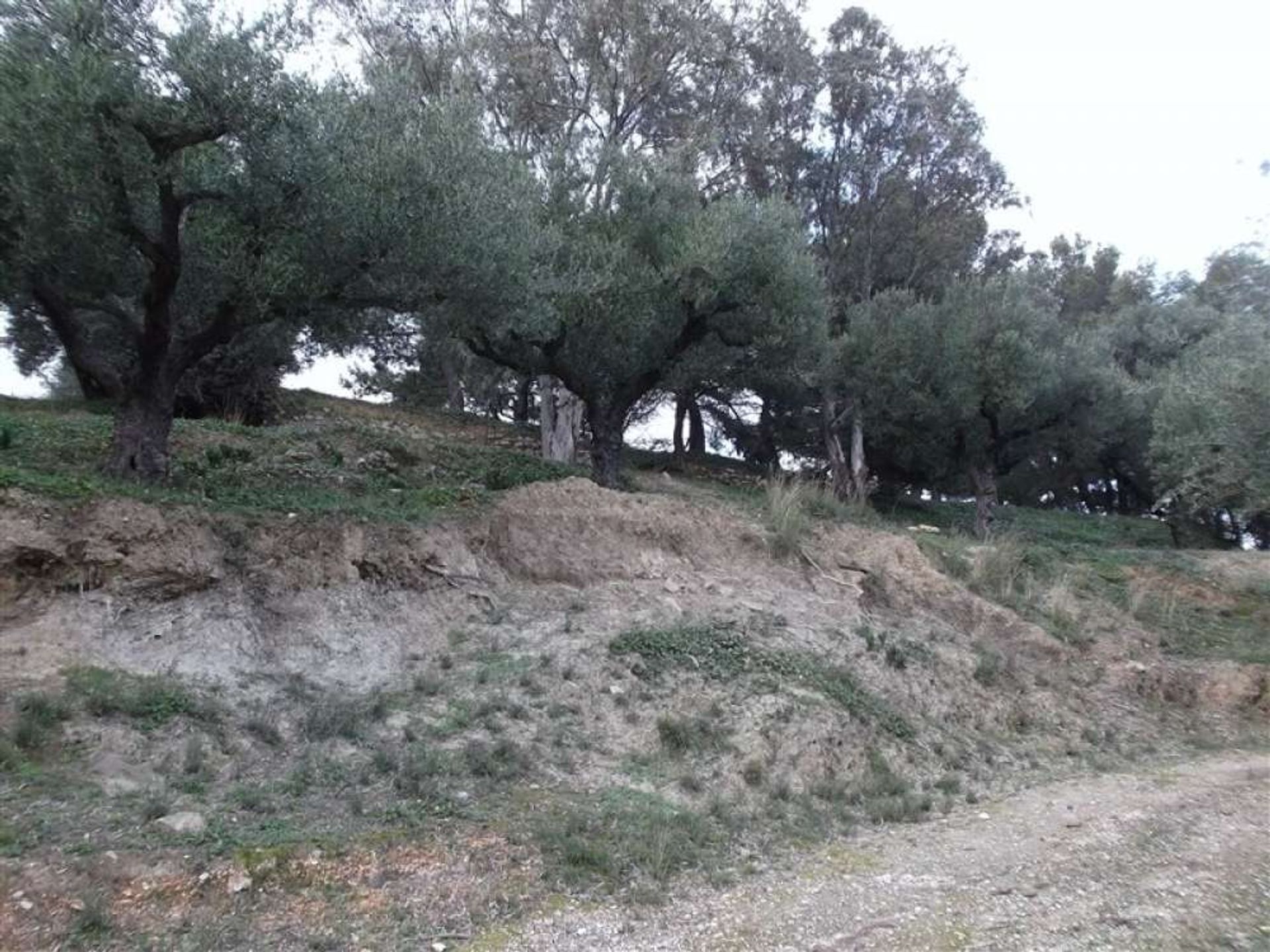 ארץ ב Zakynthos, Zakinthos 10086788