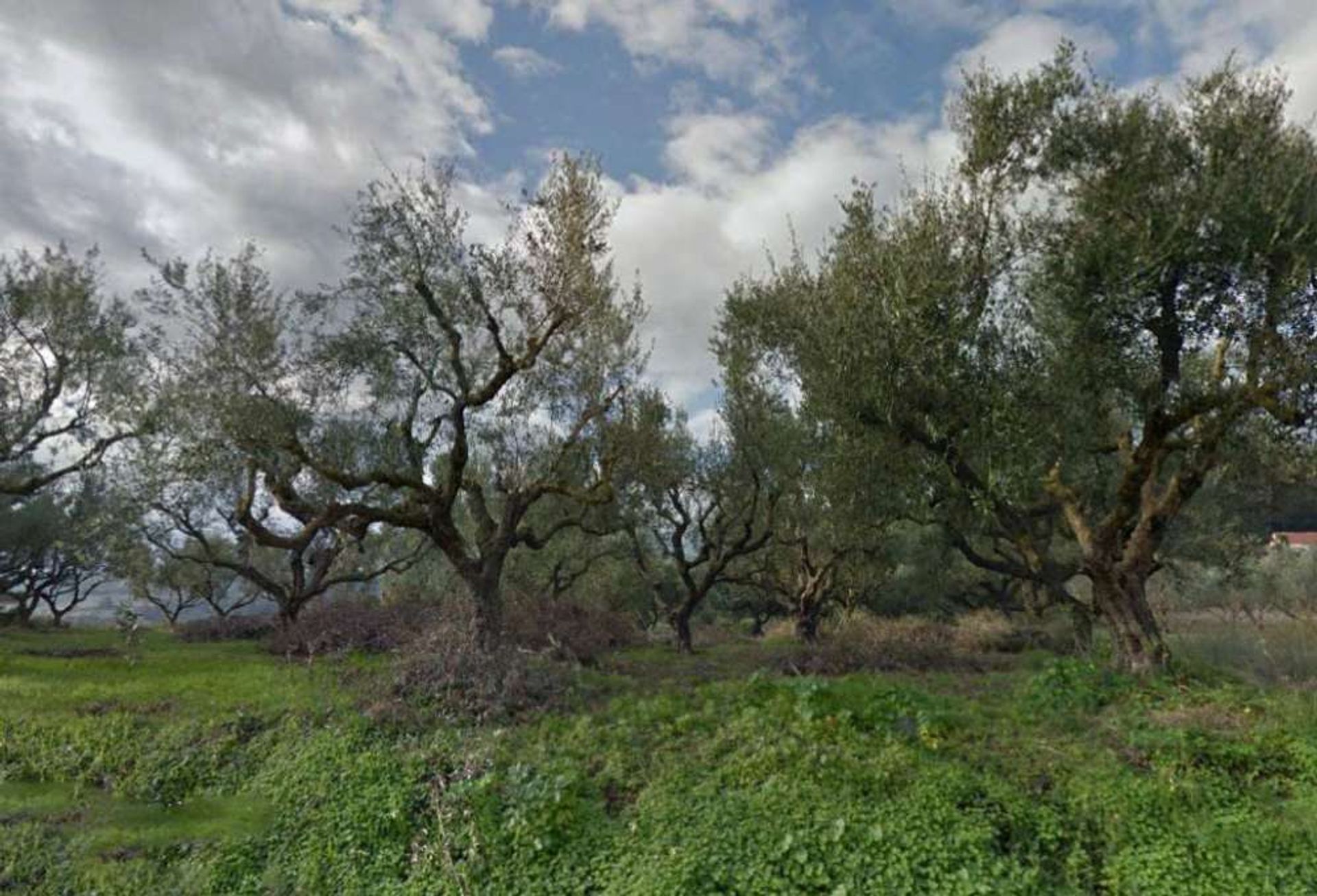 ארץ ב Zakynthos, Zakinthos 10086790