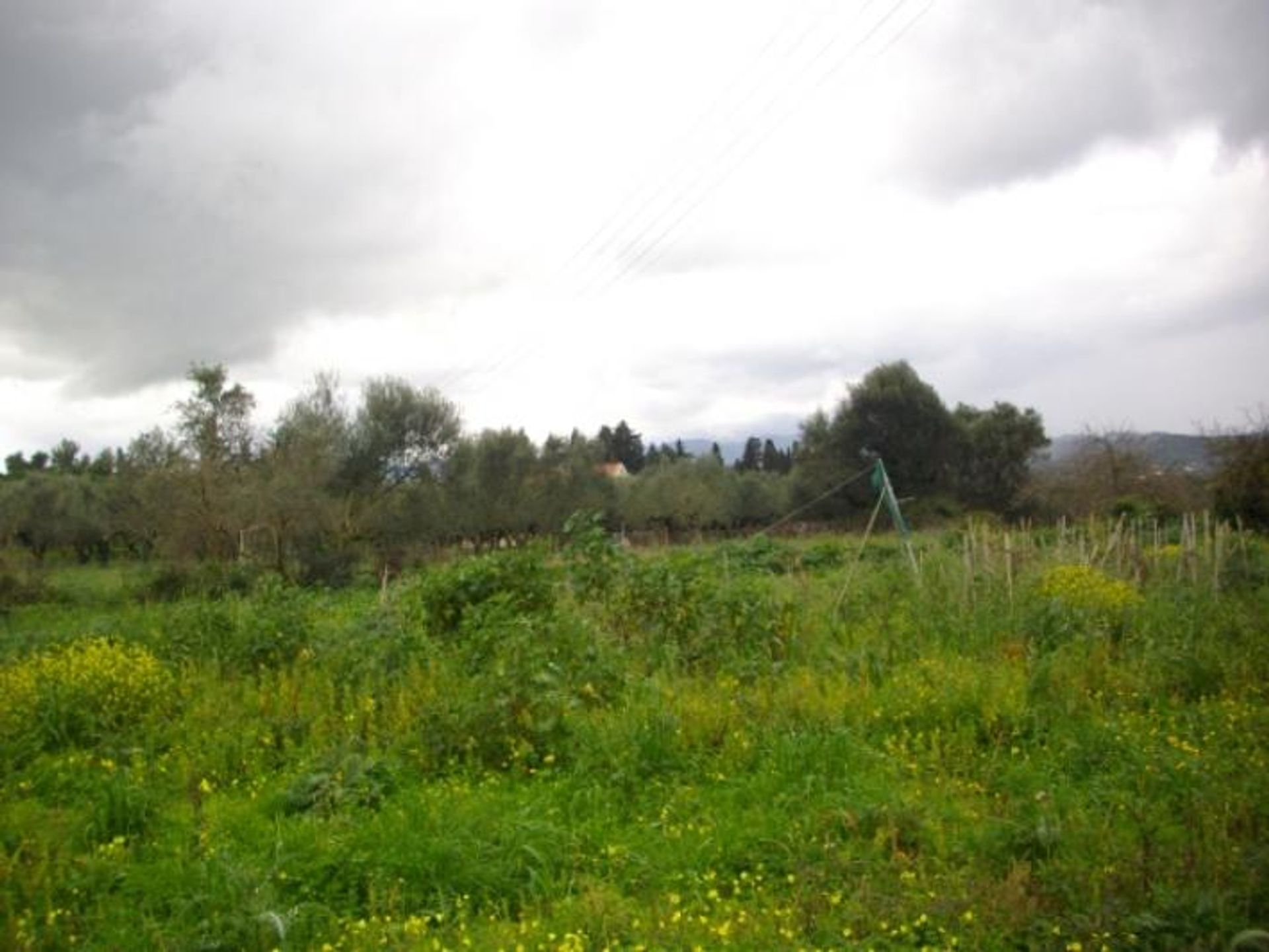 Land in Zakynthos, Zakinthos 10086791