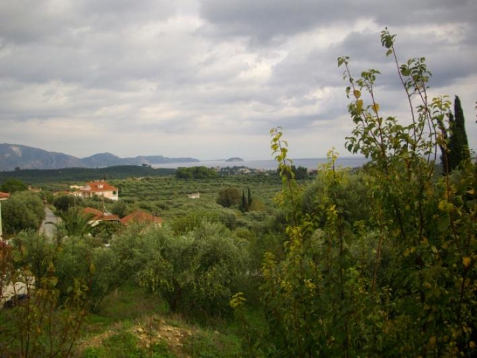 Land in Pantokratoras, Ionia Nisia 10086792