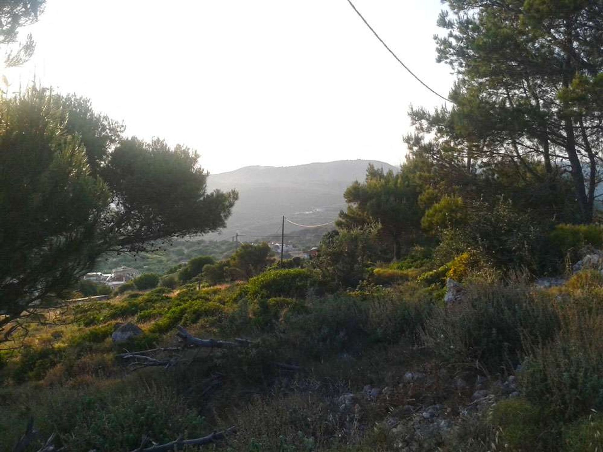 Land in Zakynthos, Zakinthos 10086796