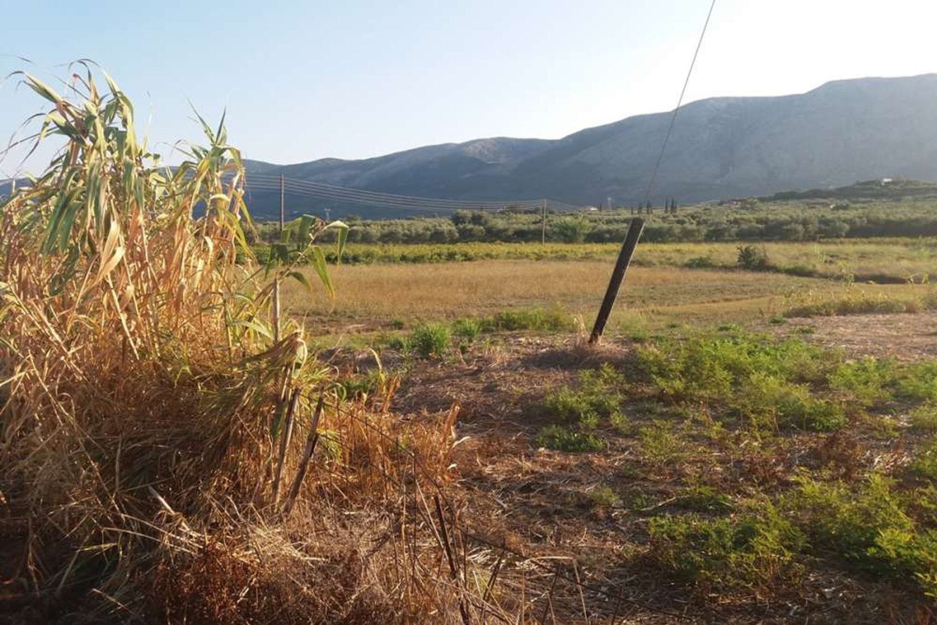 Tierra en Zakynthos, Zakinthos 10086801