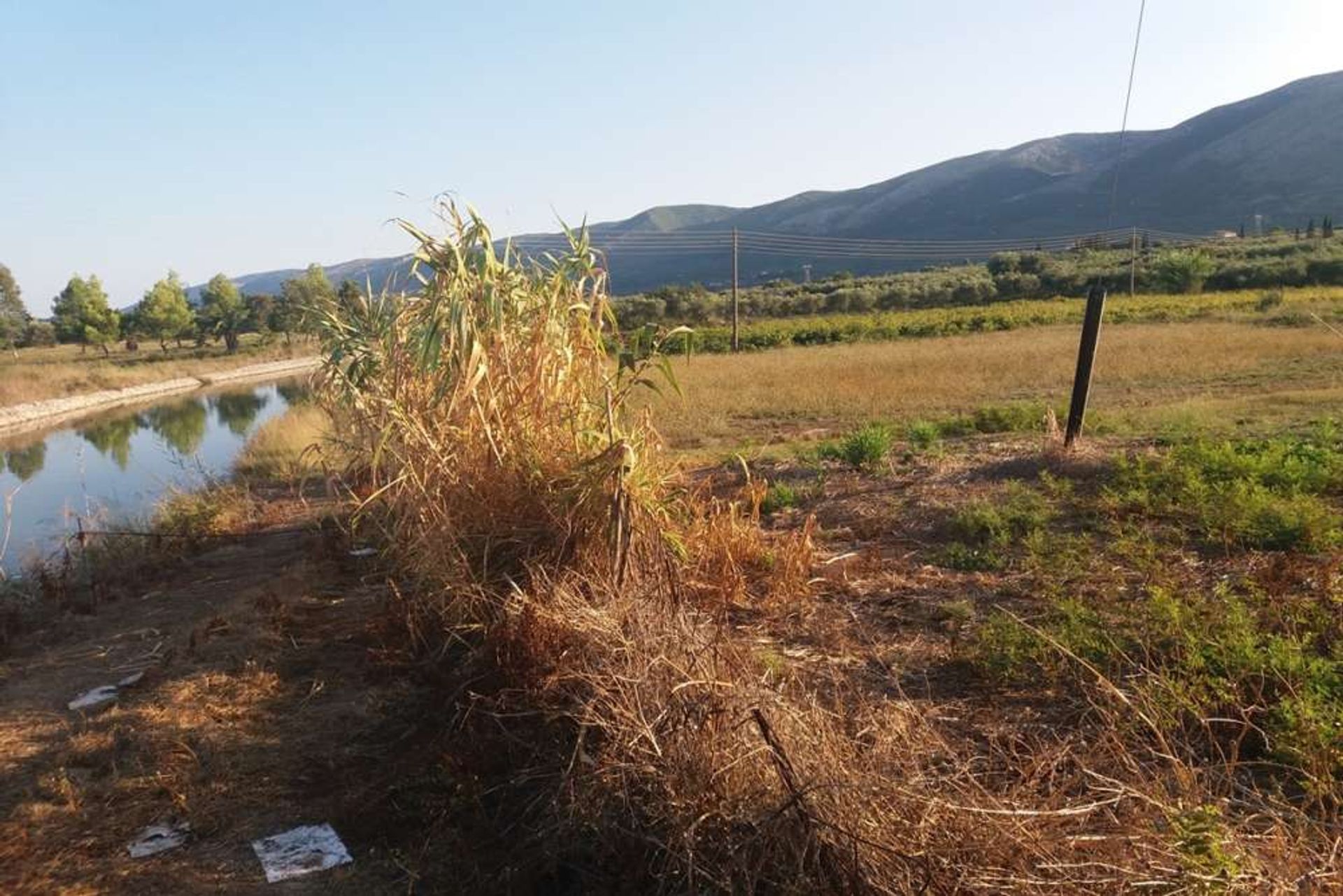 Tierra en Zakynthos, Zakinthos 10086801