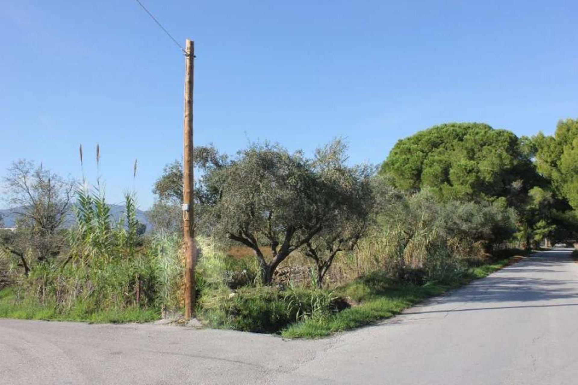 Tierra en bochalí, Jonia Nisia 10086802