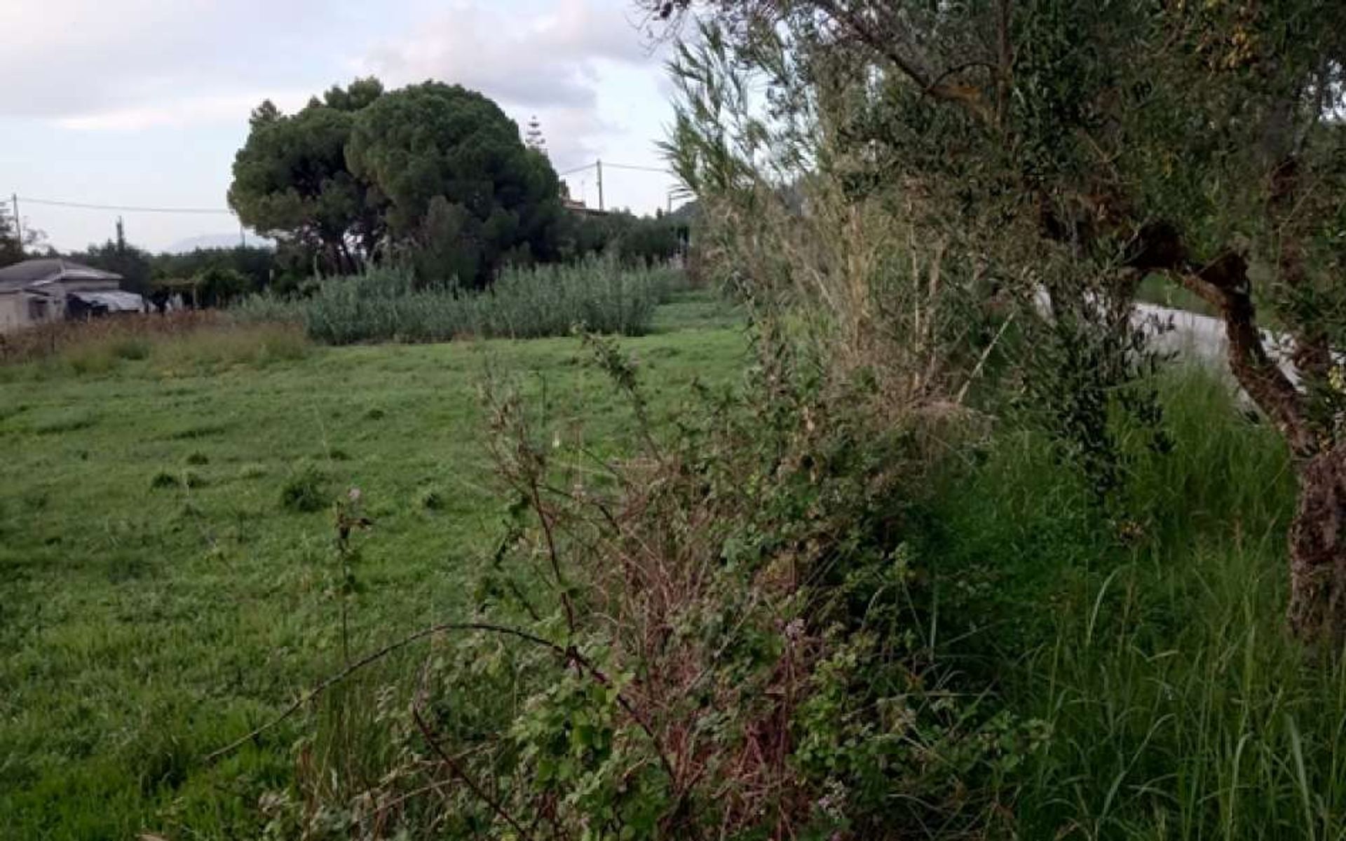 Земля в Zakynthos, Zakinthos 10086802