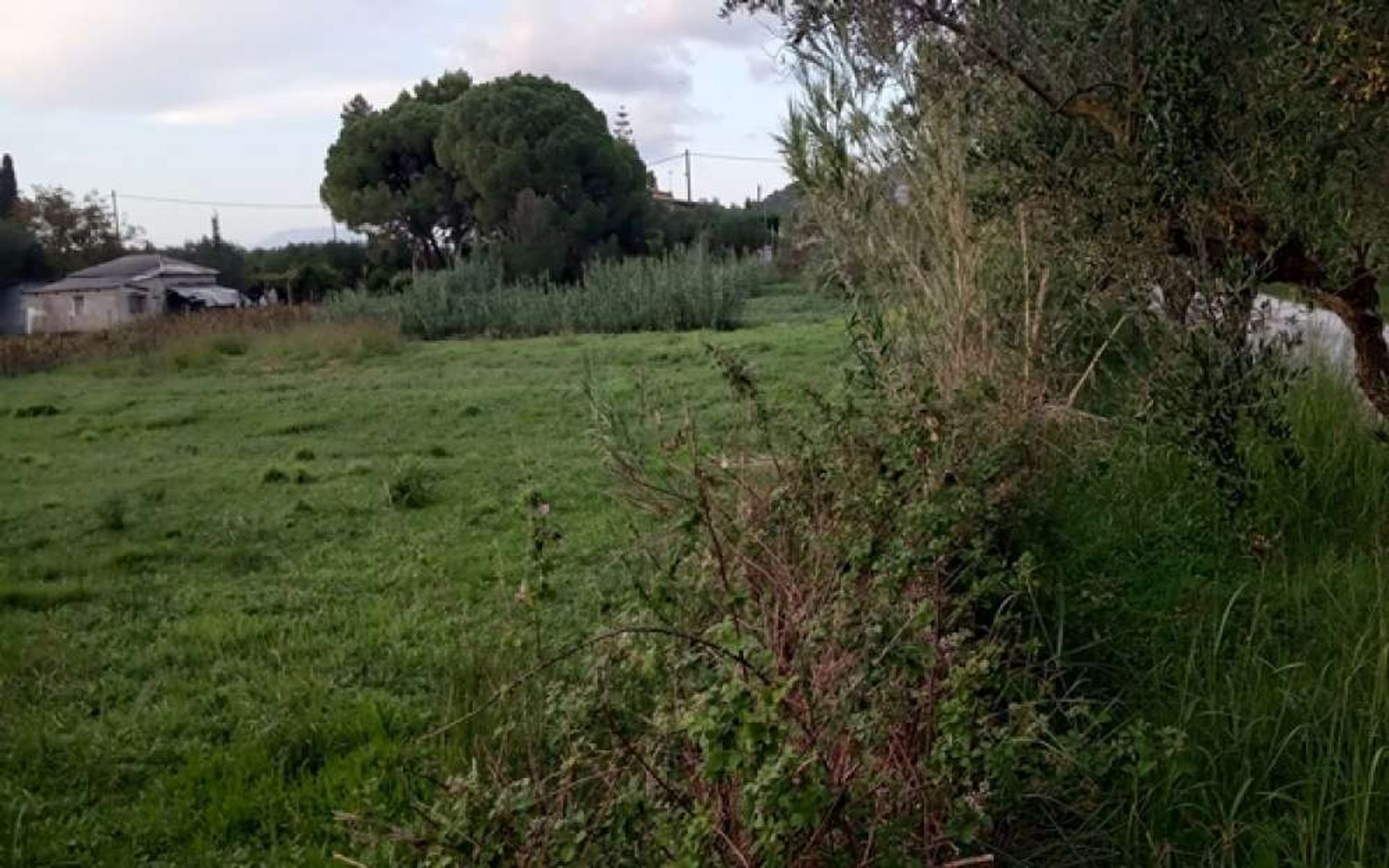 Земля в Zakynthos, Zakinthos 10086802