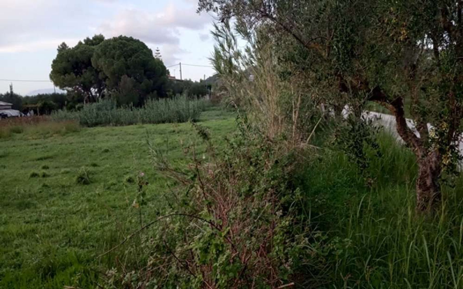 Земля в Zakynthos, Zakinthos 10086802