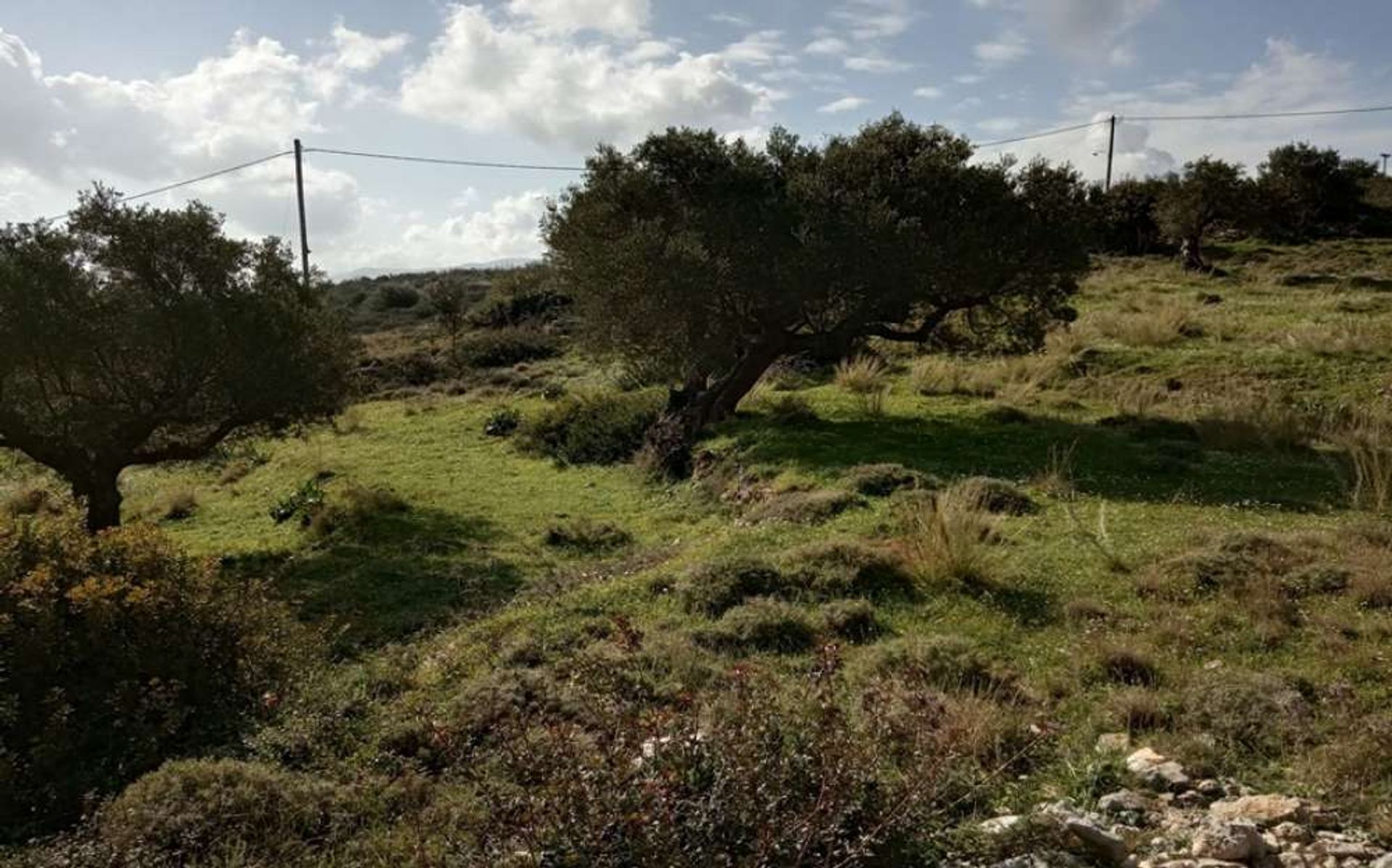 Tierra en Zakynthos, Zakinthos 10086803