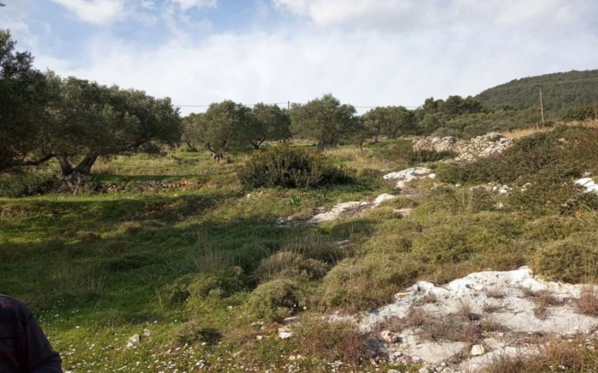 Tierra en Zakynthos, Zakinthos 10086803