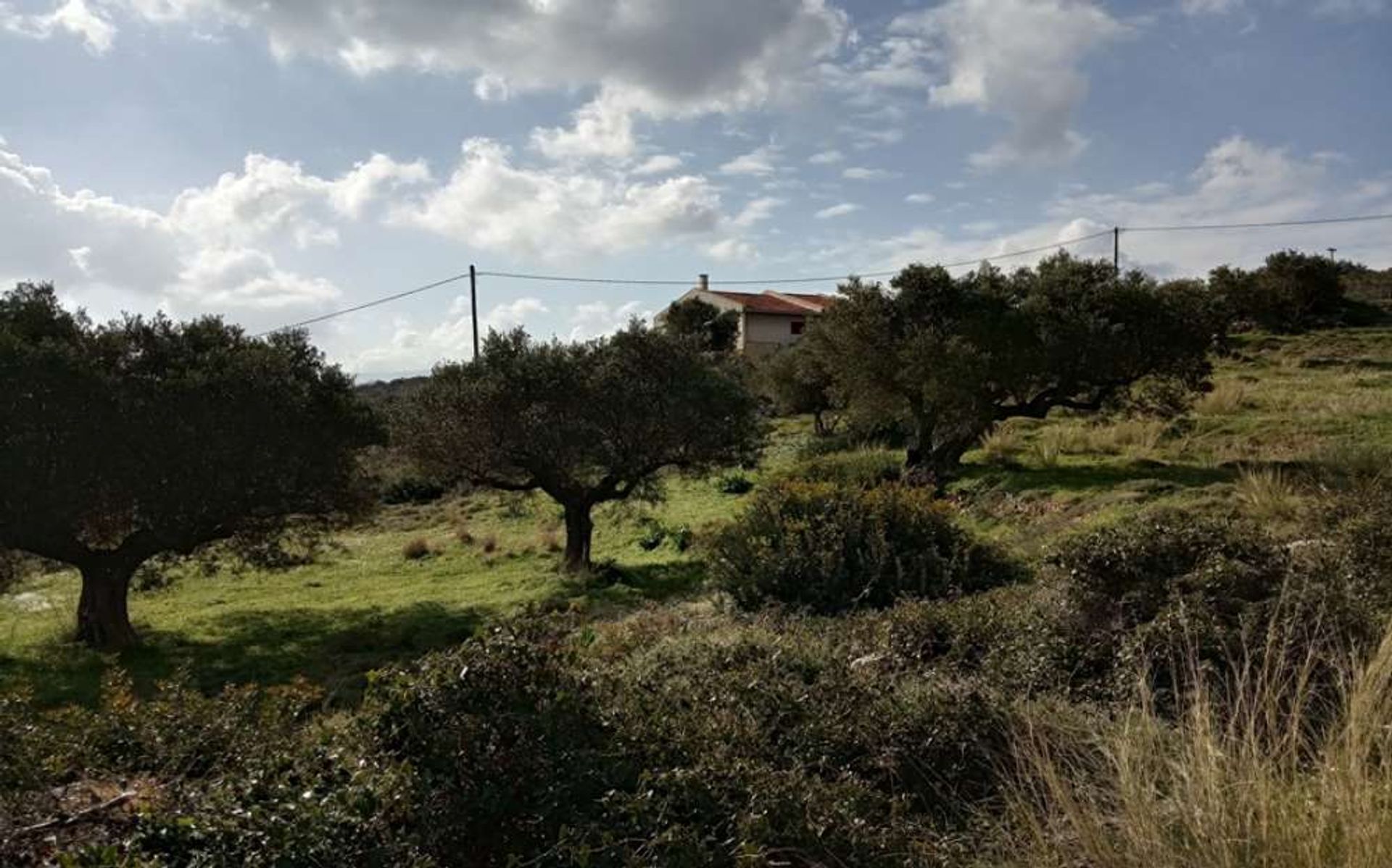 Tierra en Zakynthos, Zakinthos 10086803