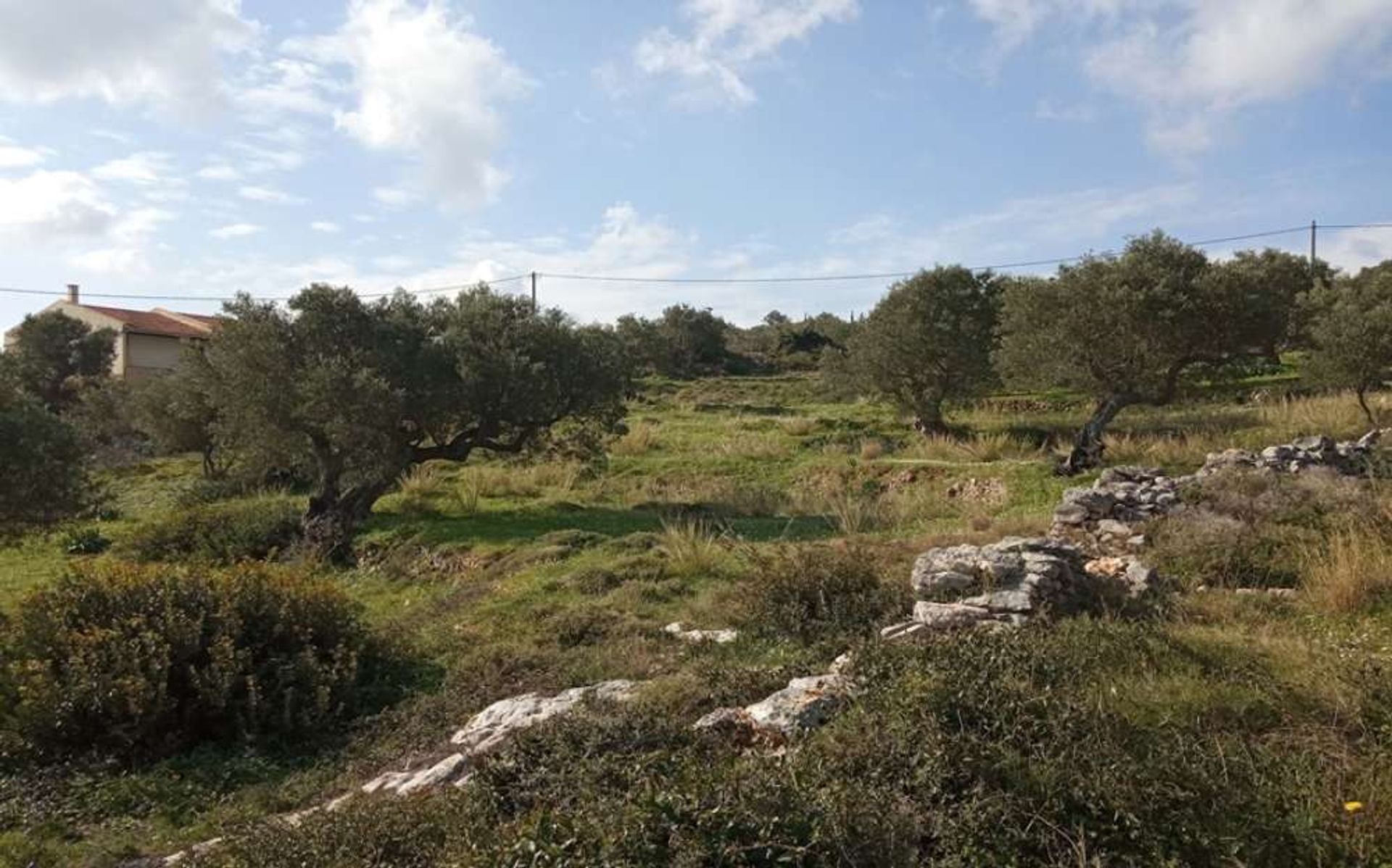 Tierra en Zakynthos, Zakinthos 10086803