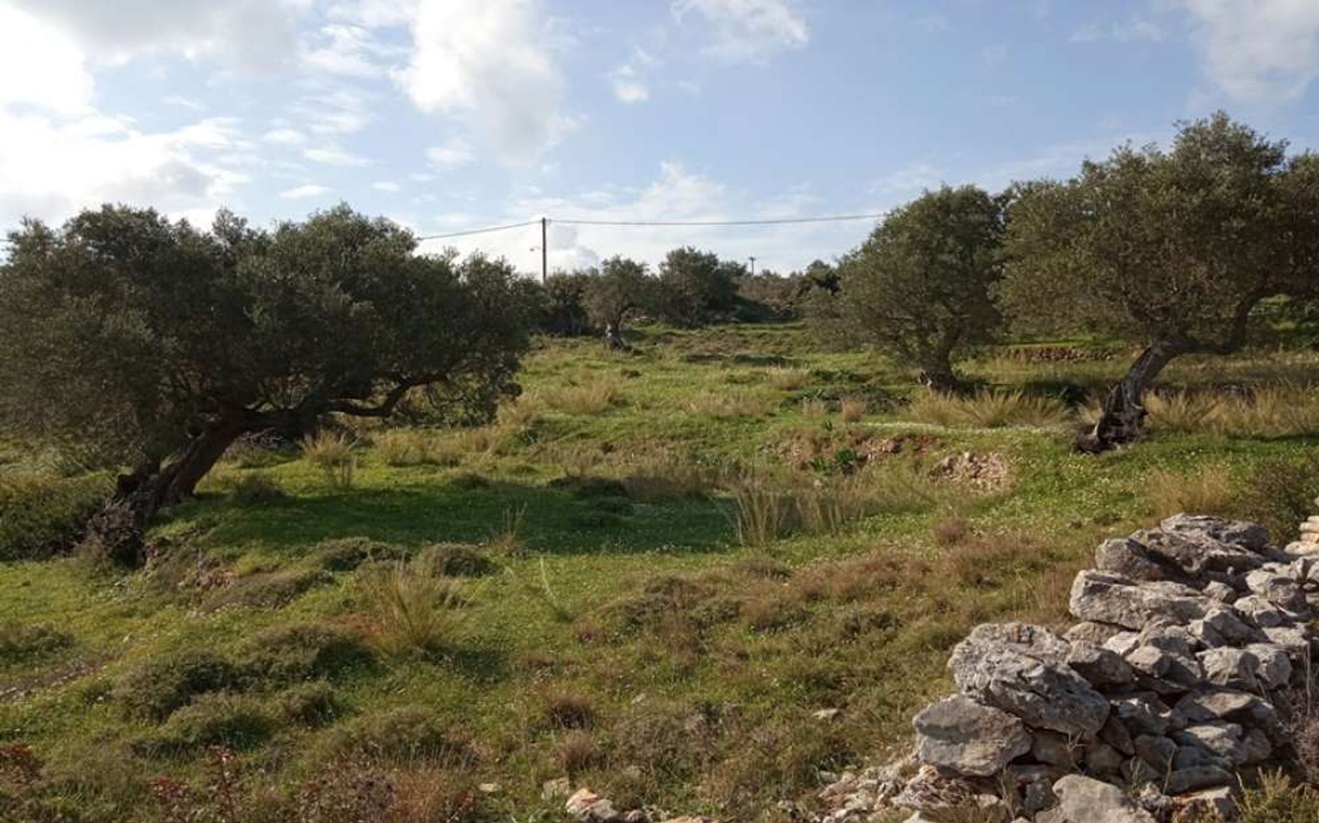 Tierra en Zakynthos, Zakinthos 10086803