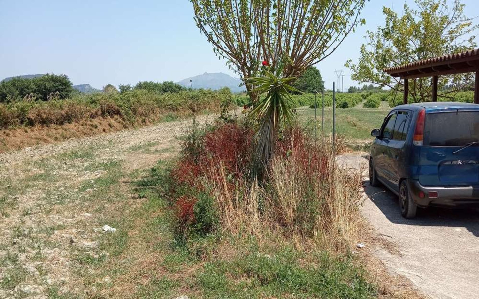 Land i Zakynthos, Zakinthos 10086805