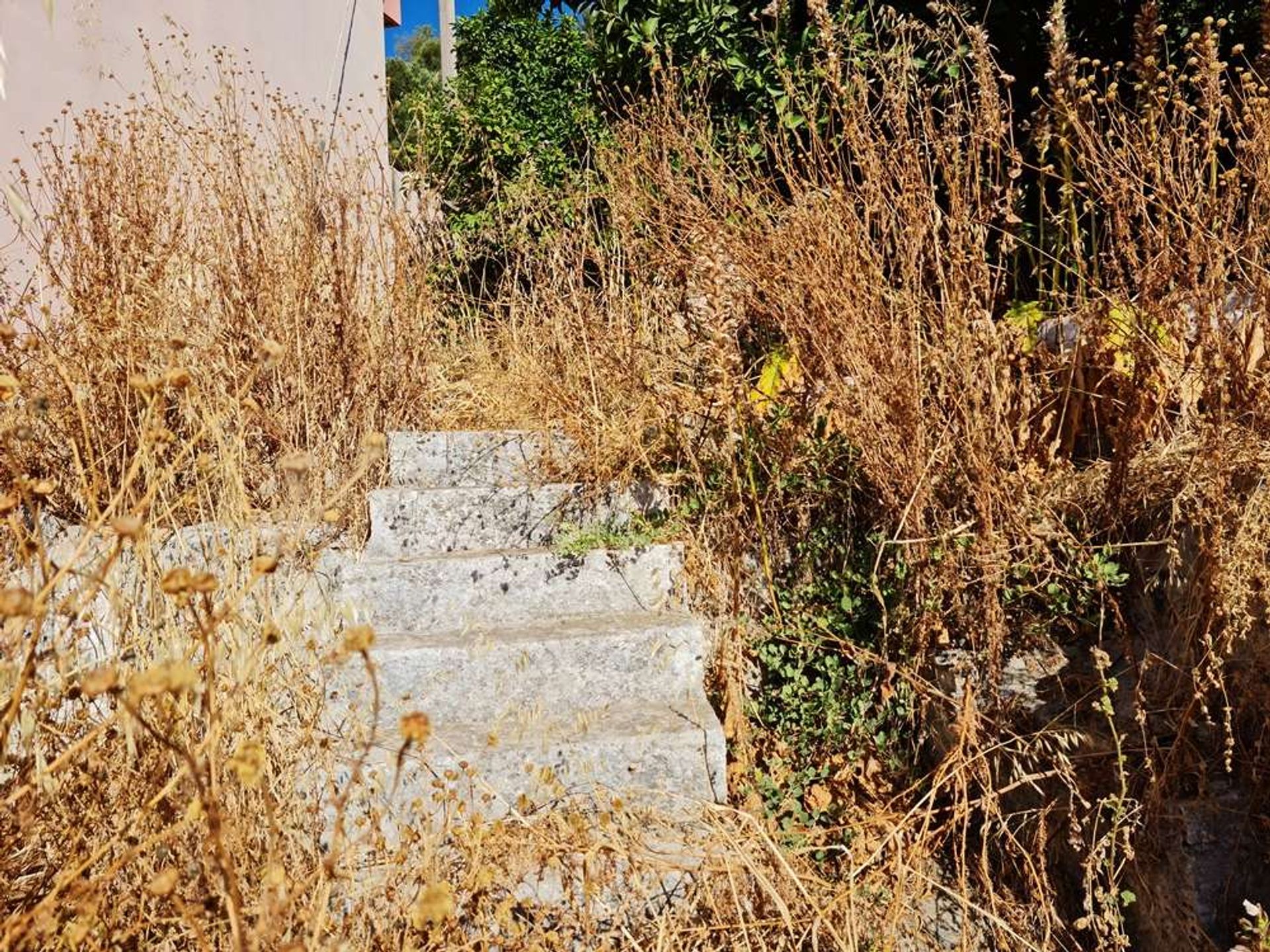 Terre dans Zakynthos, Zakinthos 10086807