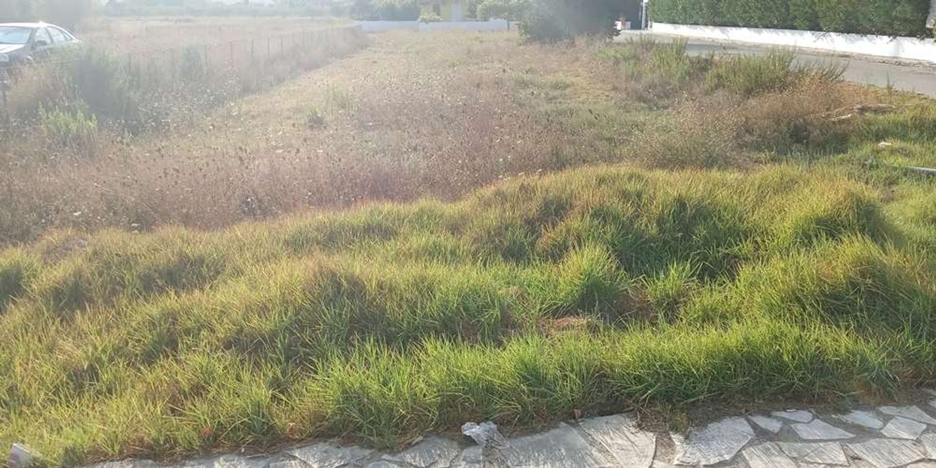 ארץ ב Zakynthos, Zakinthos 10086809