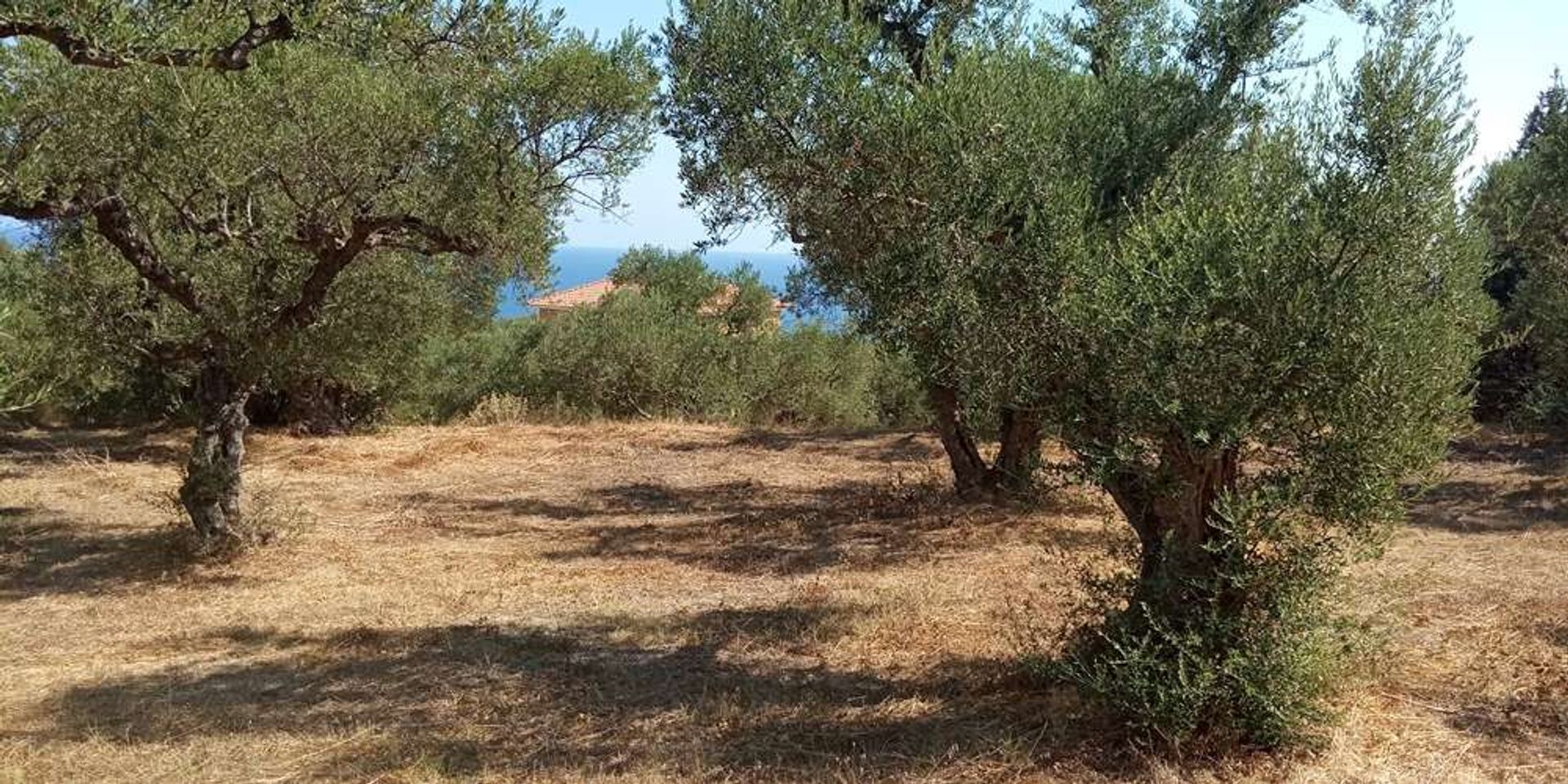 Maa sisään Zakynthos, Zakinthos 10086810