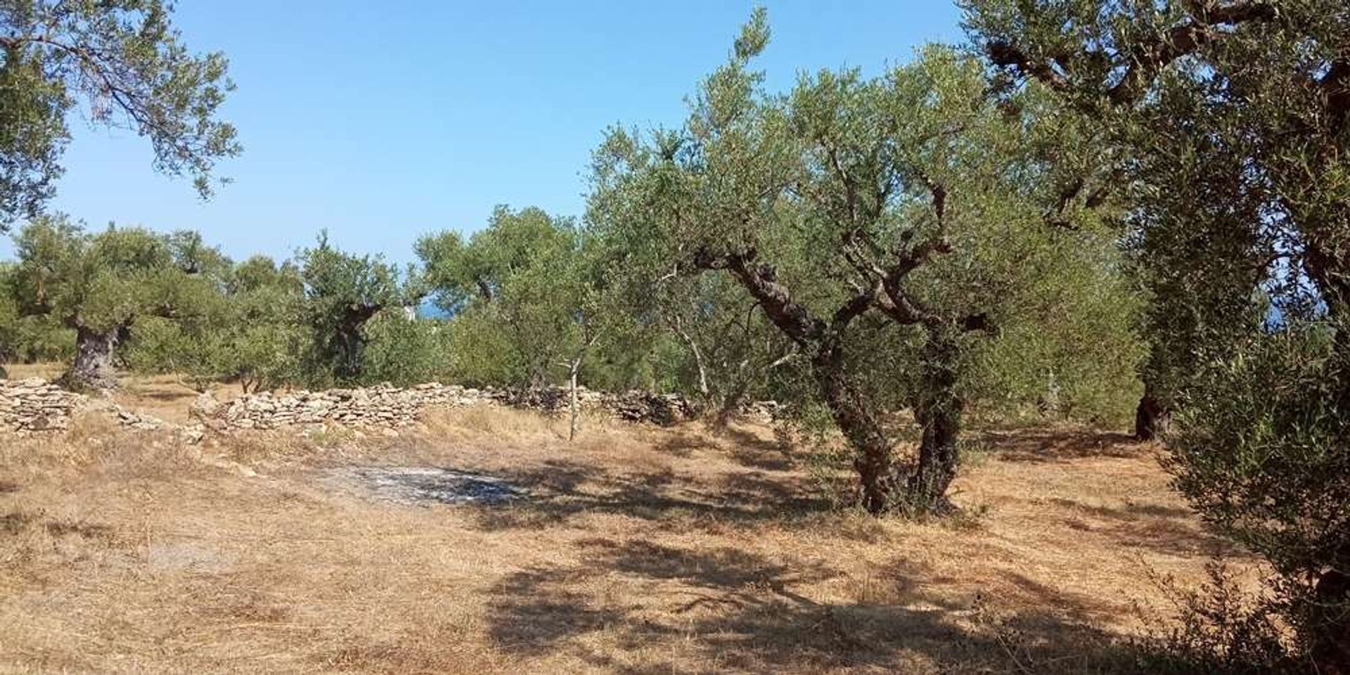 Maa sisään Zakynthos, Zakinthos 10086810