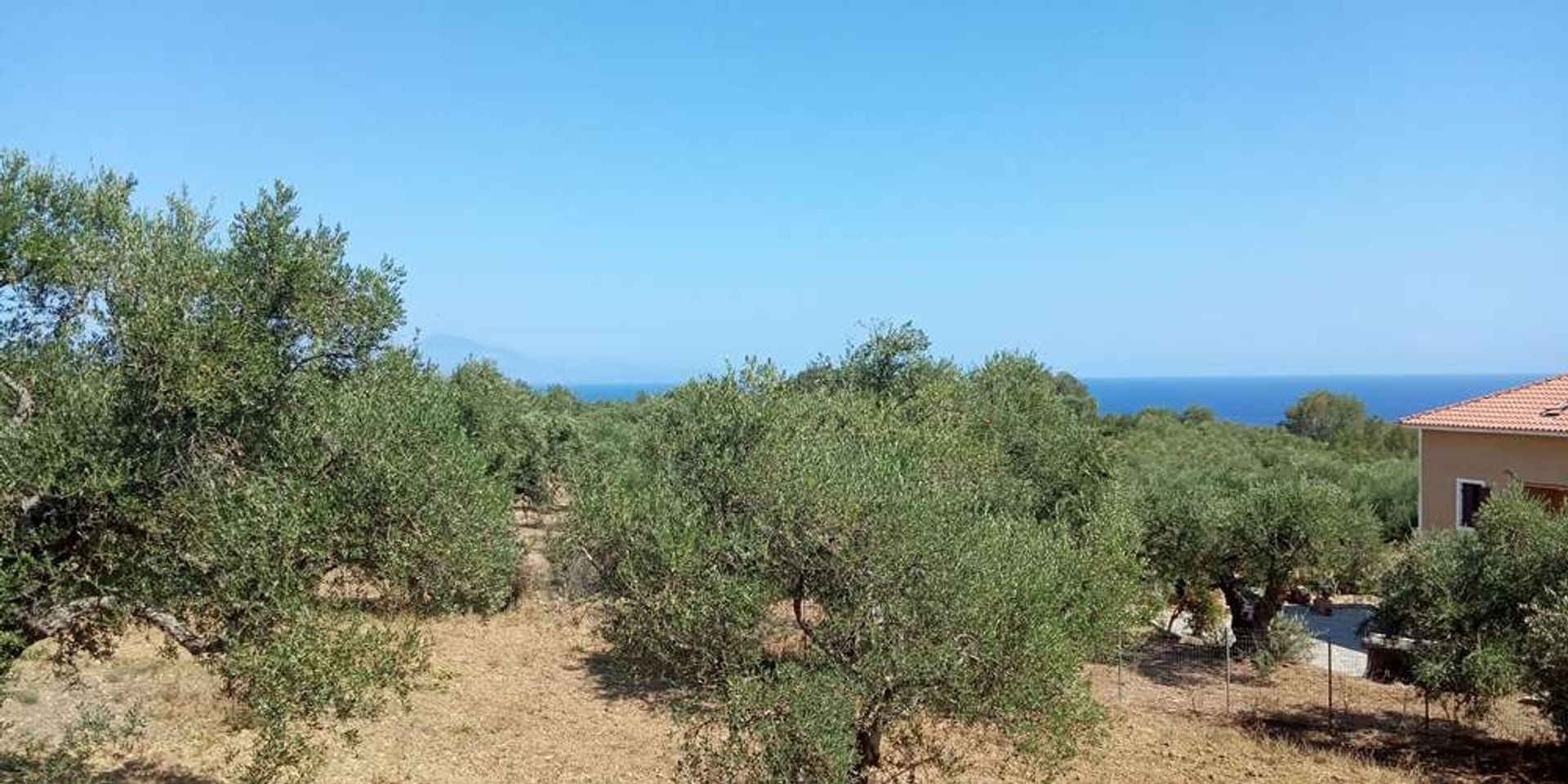 Maa sisään Zakynthos, Zakinthos 10086810