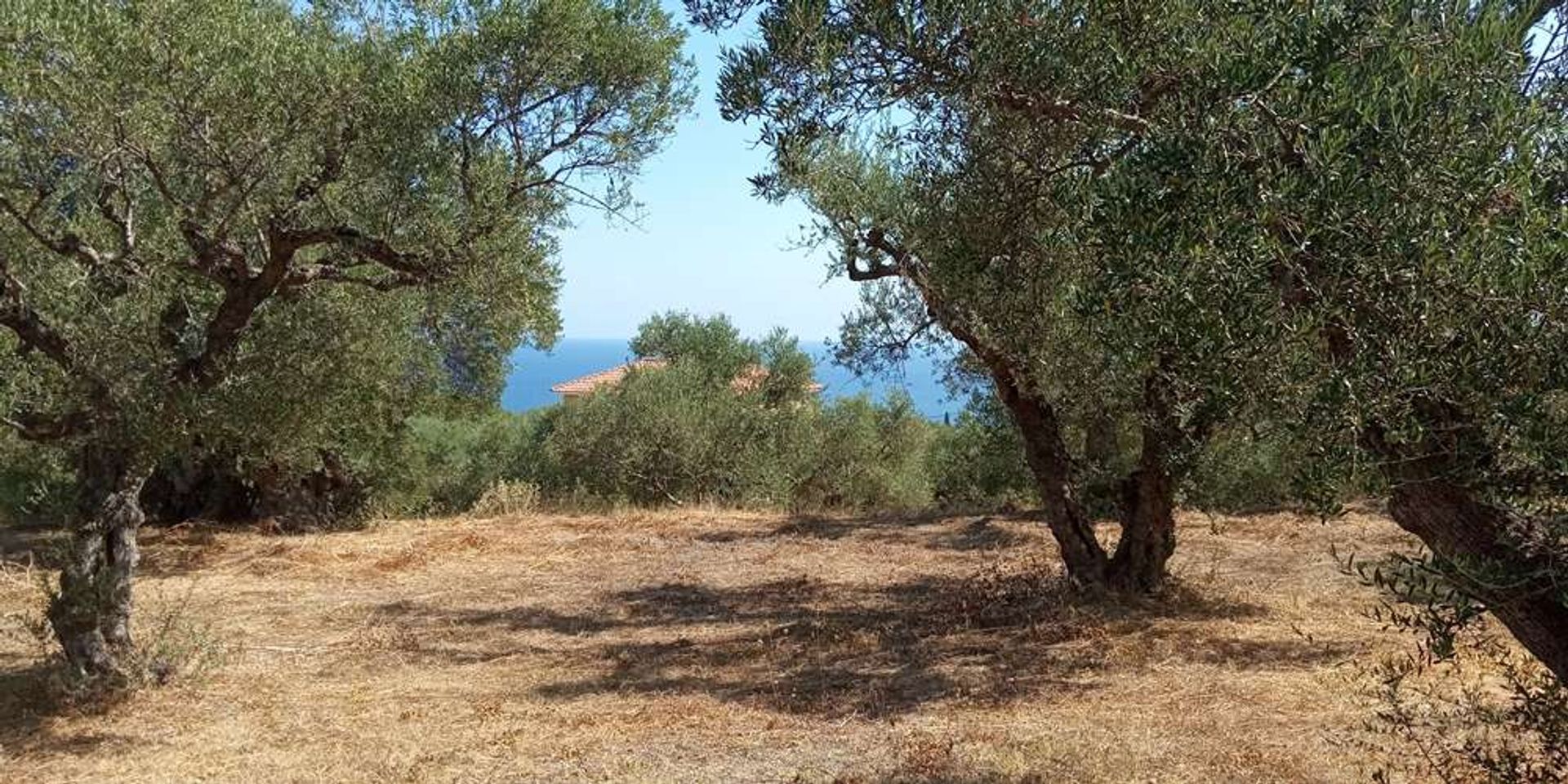 Maa sisään Zakynthos, Zakinthos 10086810