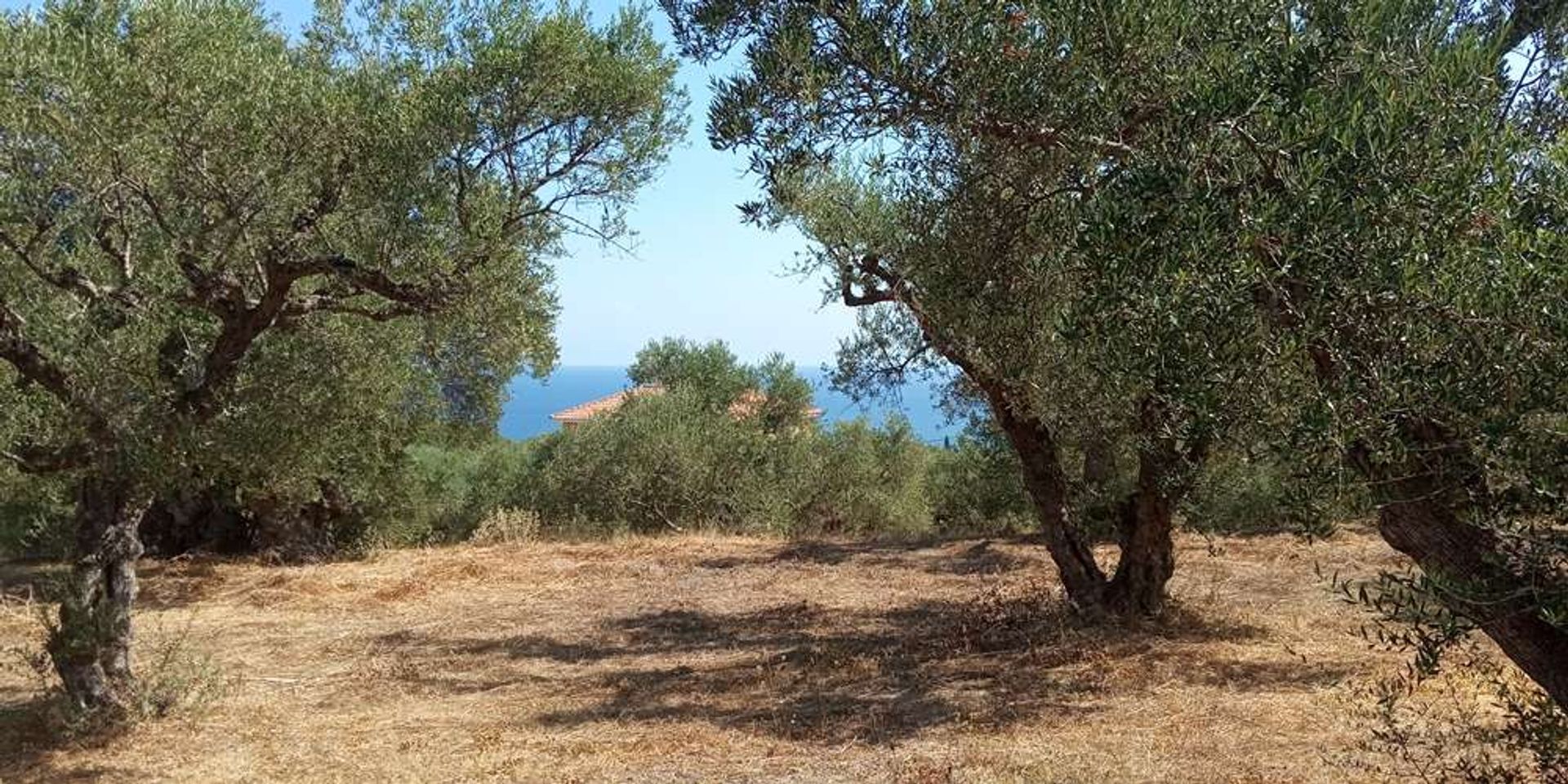 Maa sisään Zakynthos, Zakinthos 10086810