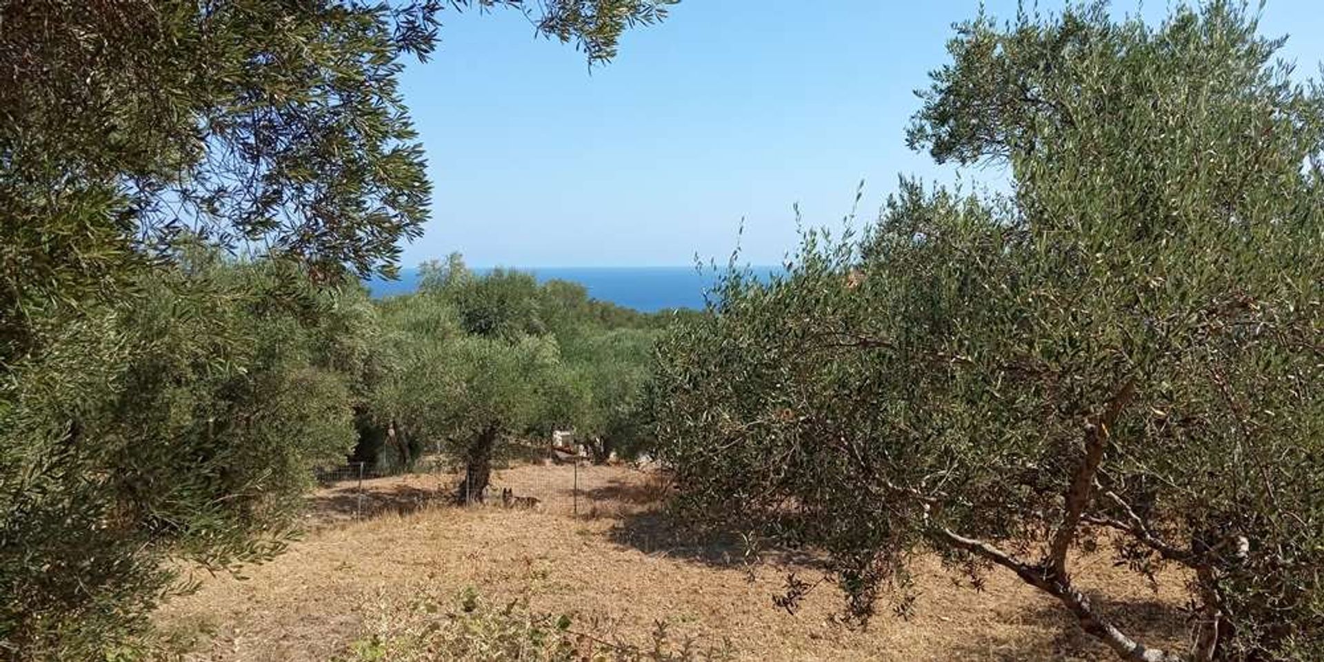 Maa sisään Zakynthos, Zakinthos 10086810