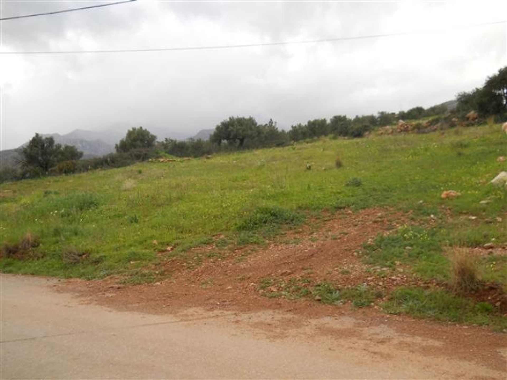 Land in Makrygialos, Kriti 10086811